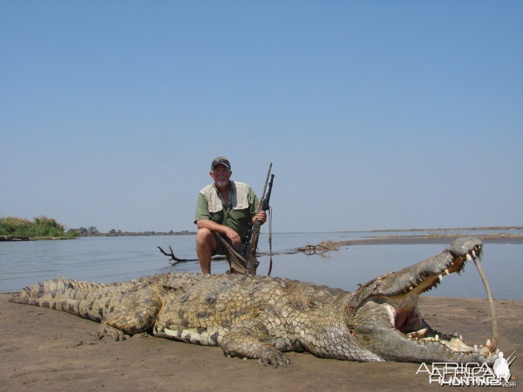 Zambezi croc