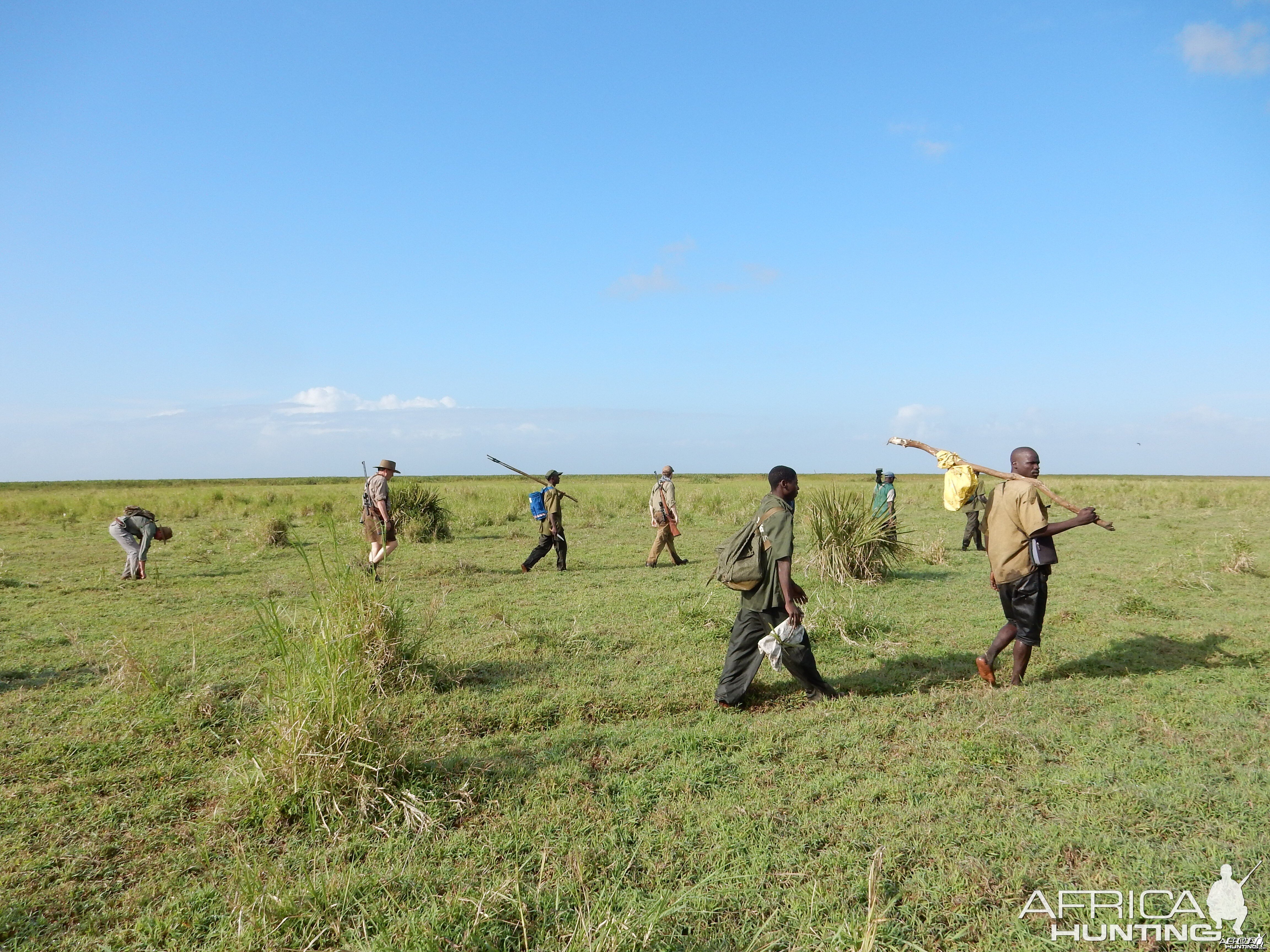 Zambezi Delta march to the birds