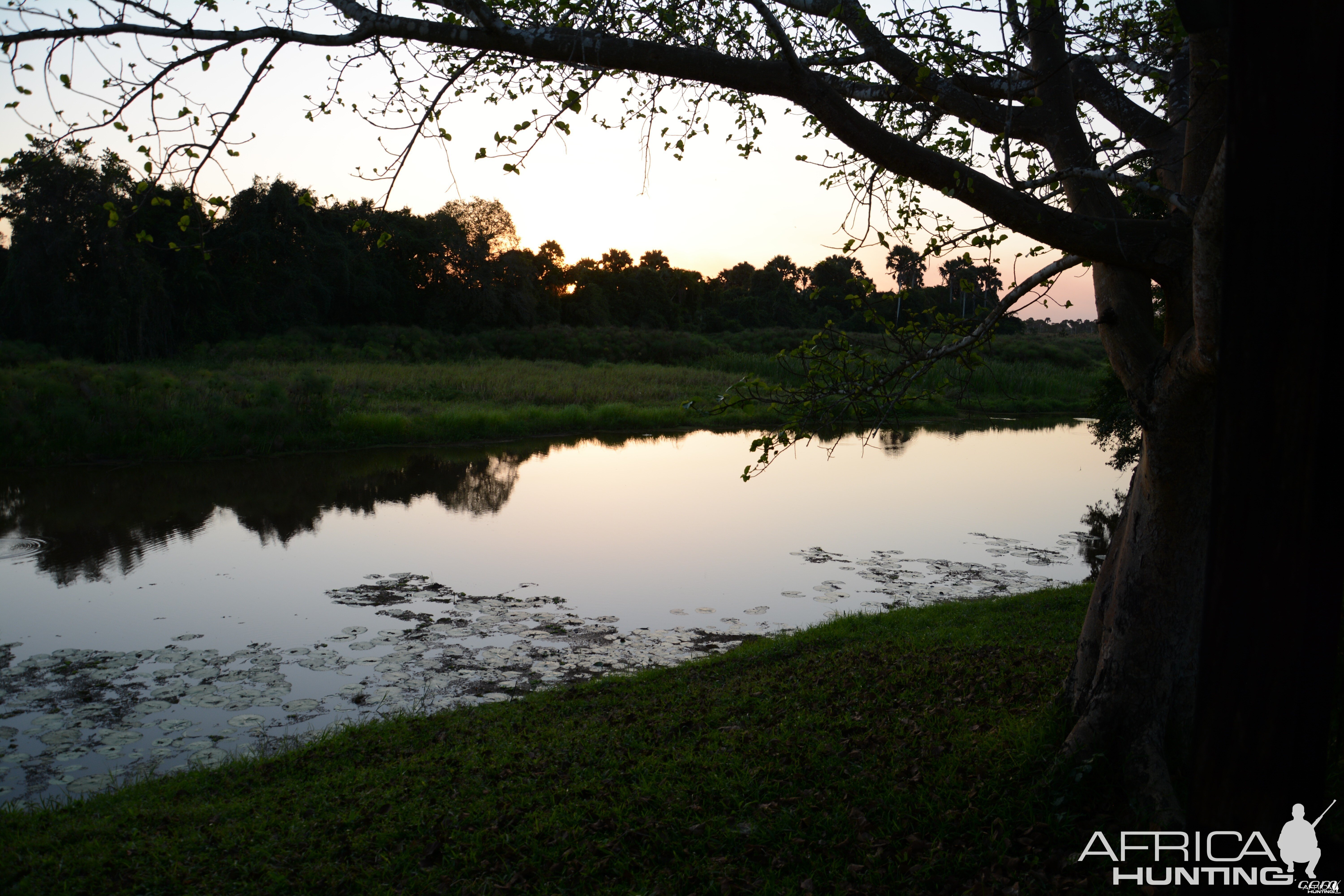 Zambezi delta