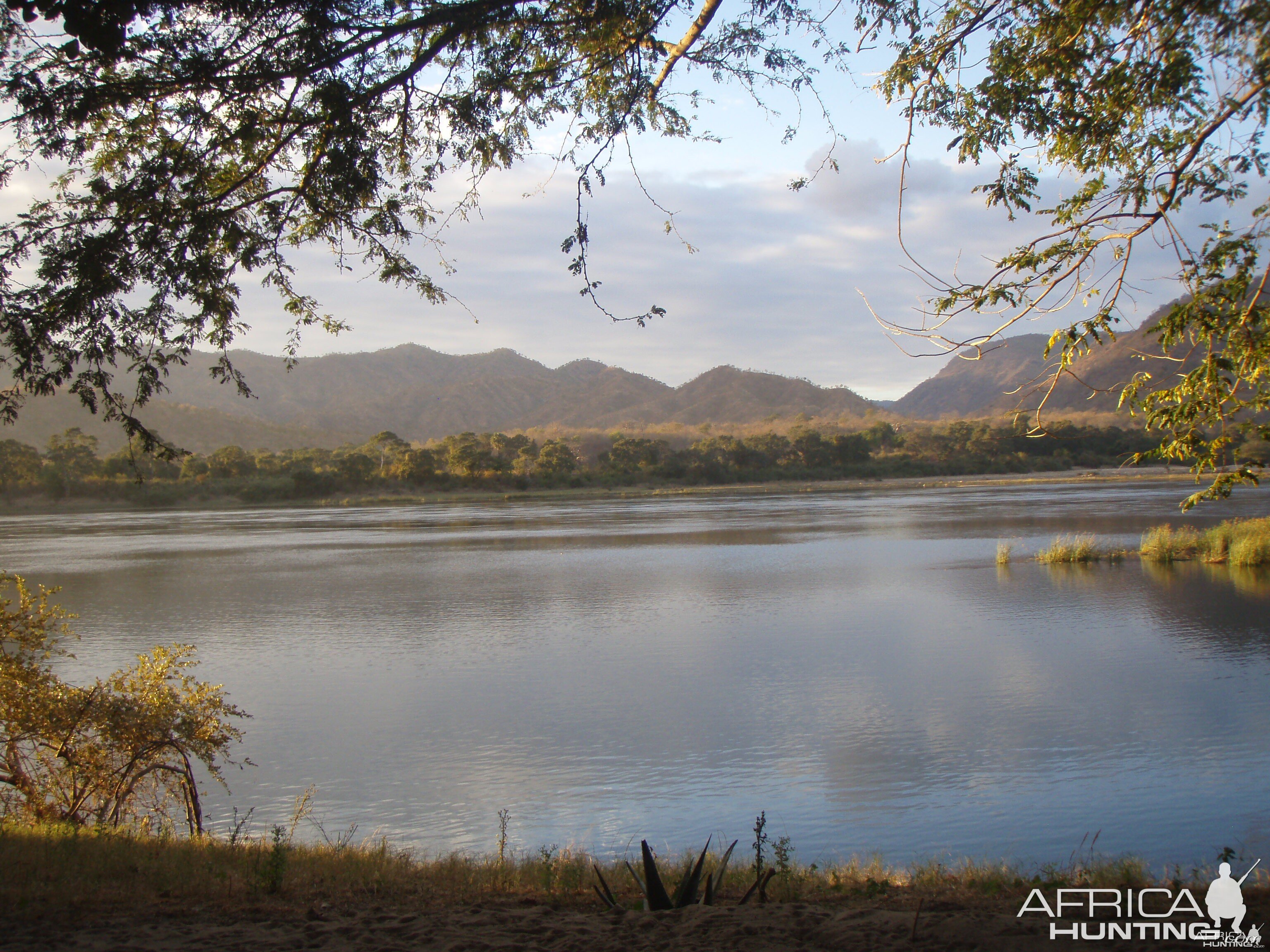 zambezi kingfisher lodge