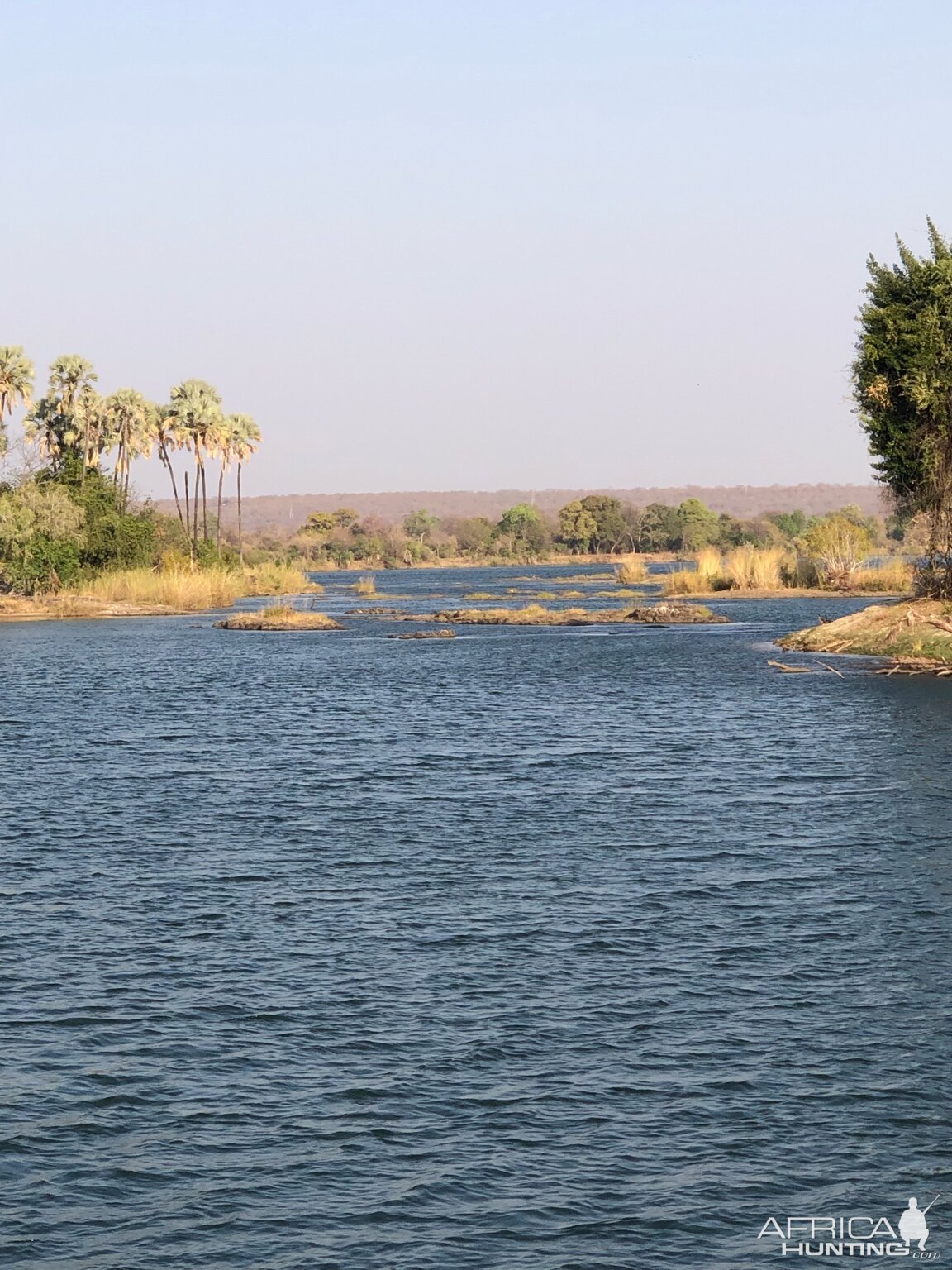 Zambezi River Zimbabwe