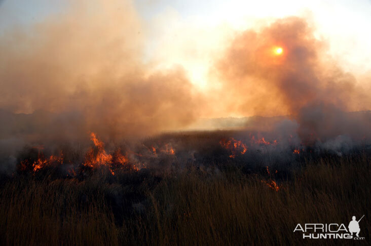 Zambia Bush Fire