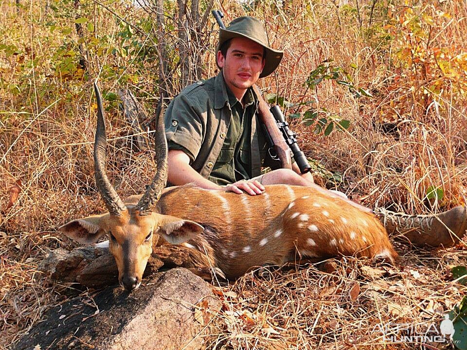 Zambia Harnassed Bushbuck Hunting