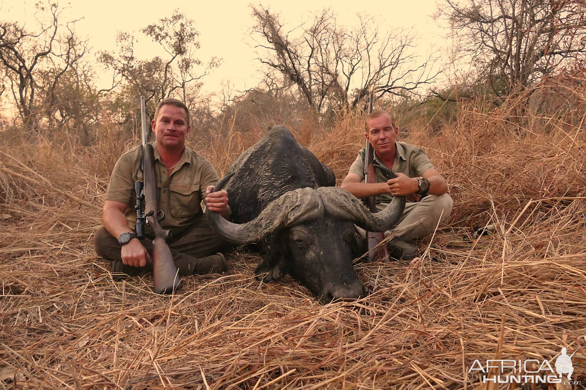 Zambia Hunt 40" Inch Cape Buffalo