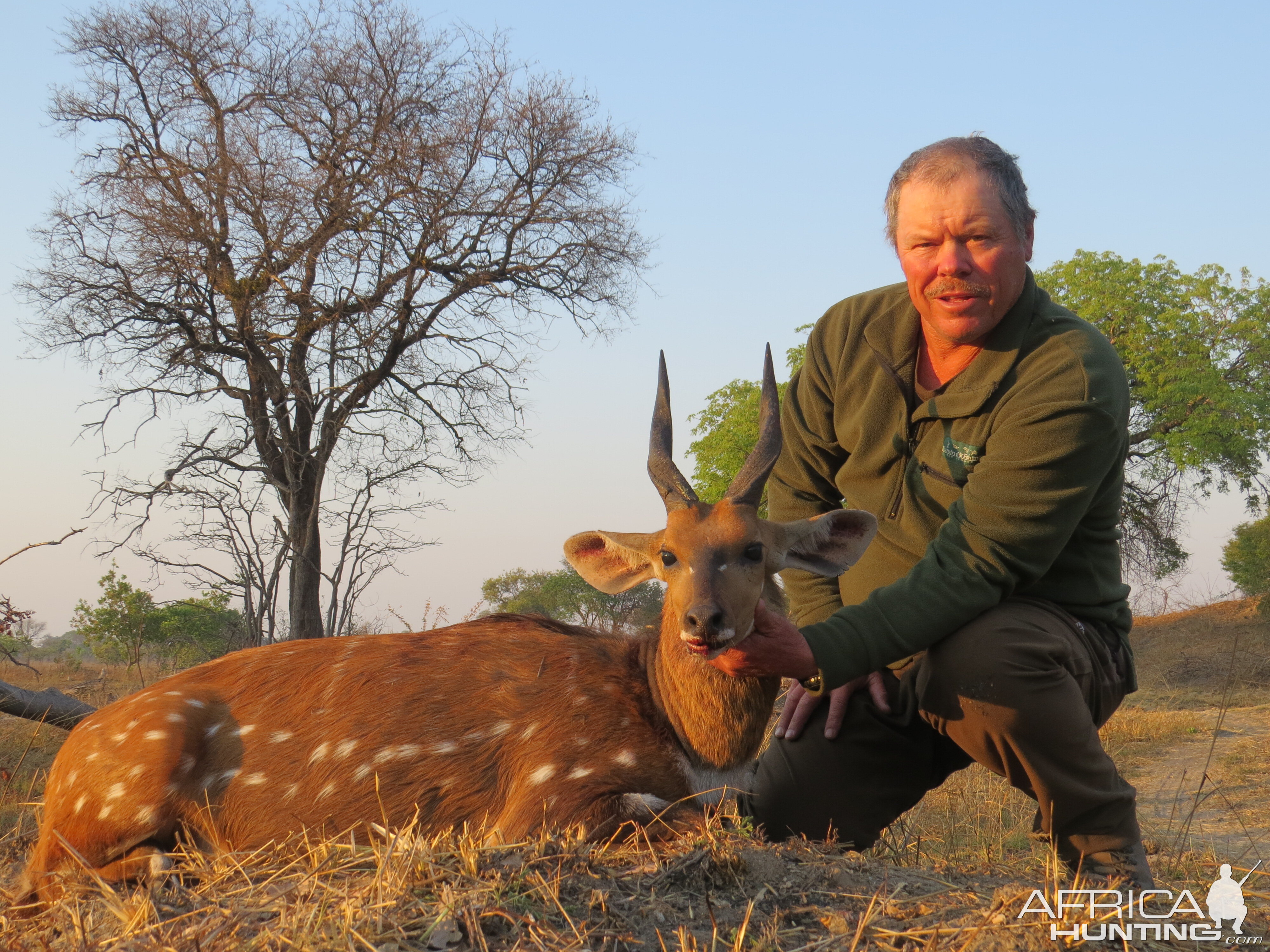 Zambia Hunt Bushbuck