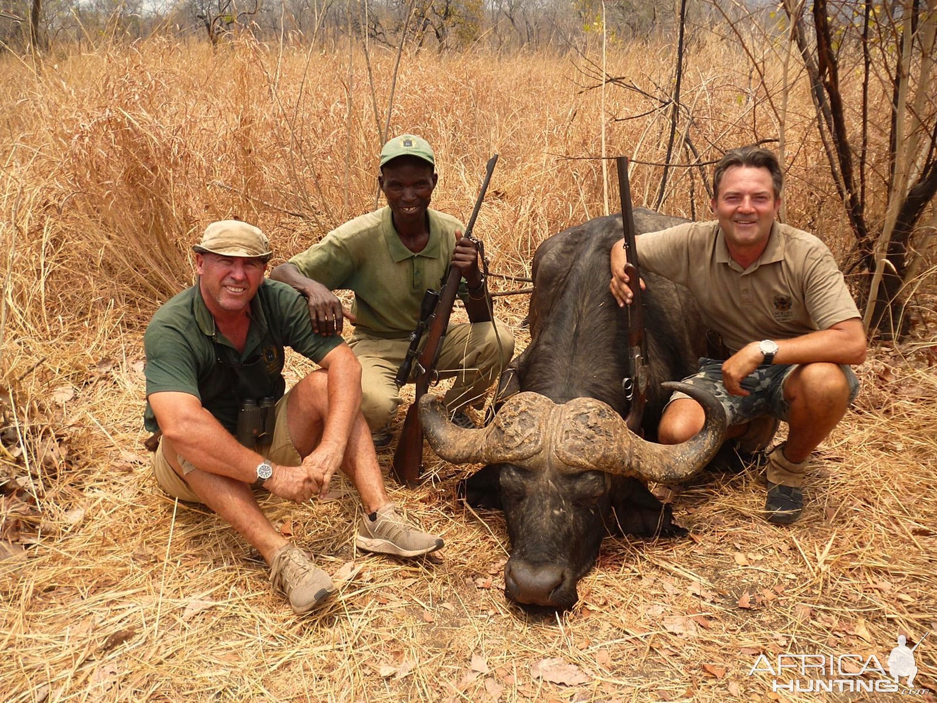 Zambia Hunt Cape Buffalo