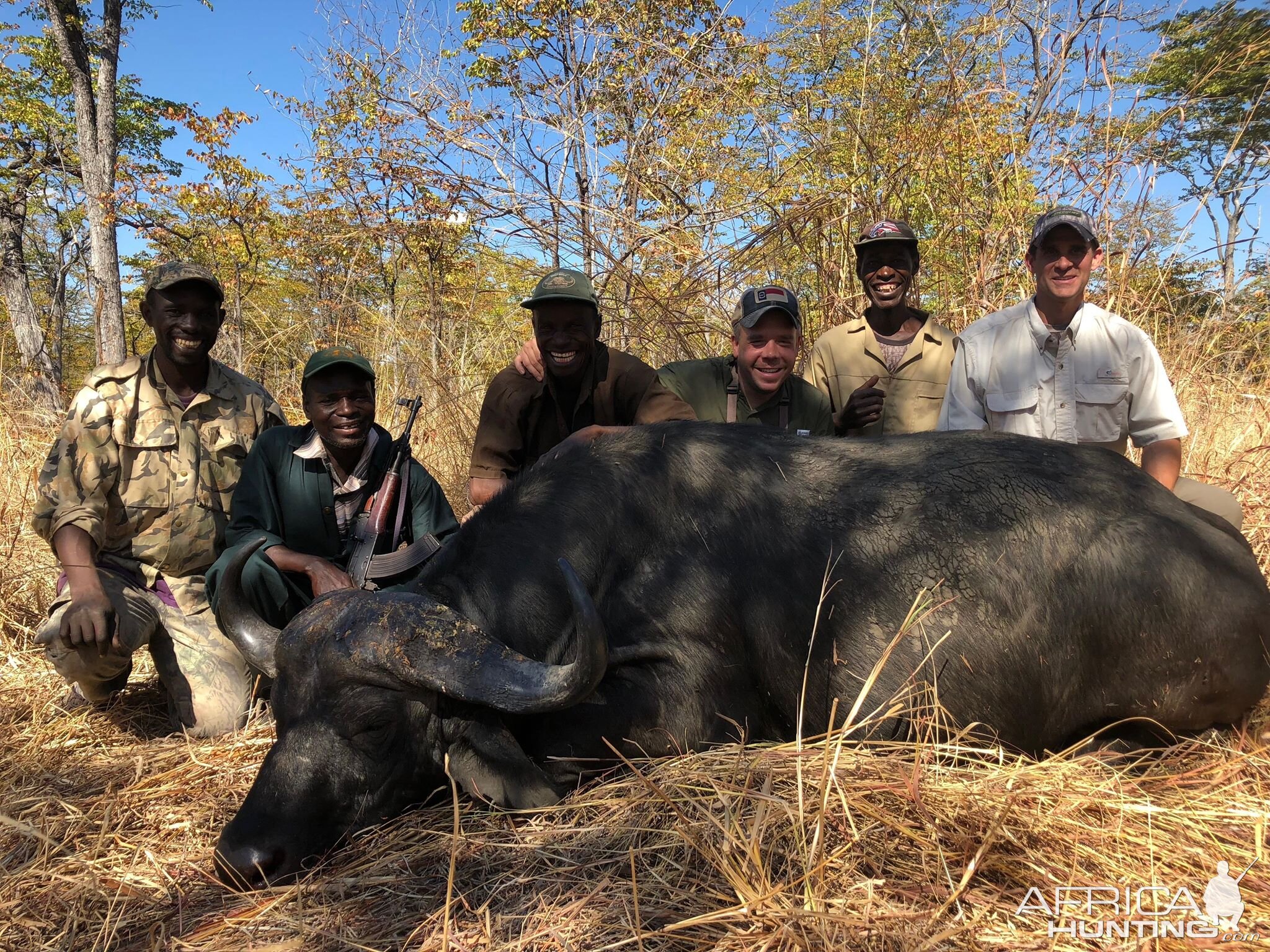 Zambia Hunt Cape Buffalo