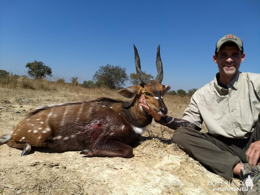 Zambia Hunt Chobe Bushbuck