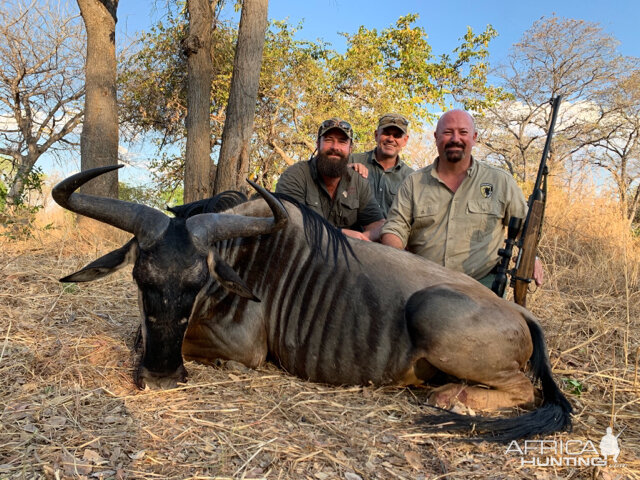 Zambia Hunt Cookson’s Wildebeest