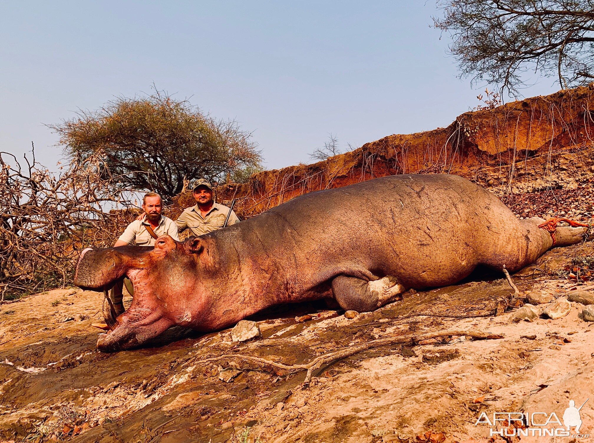 Zambia Hunt Hippo