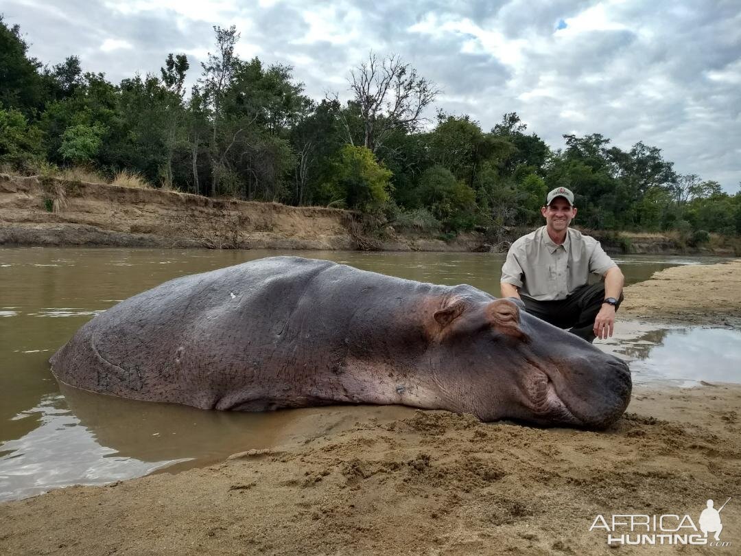 Zambia Hunt Hippo