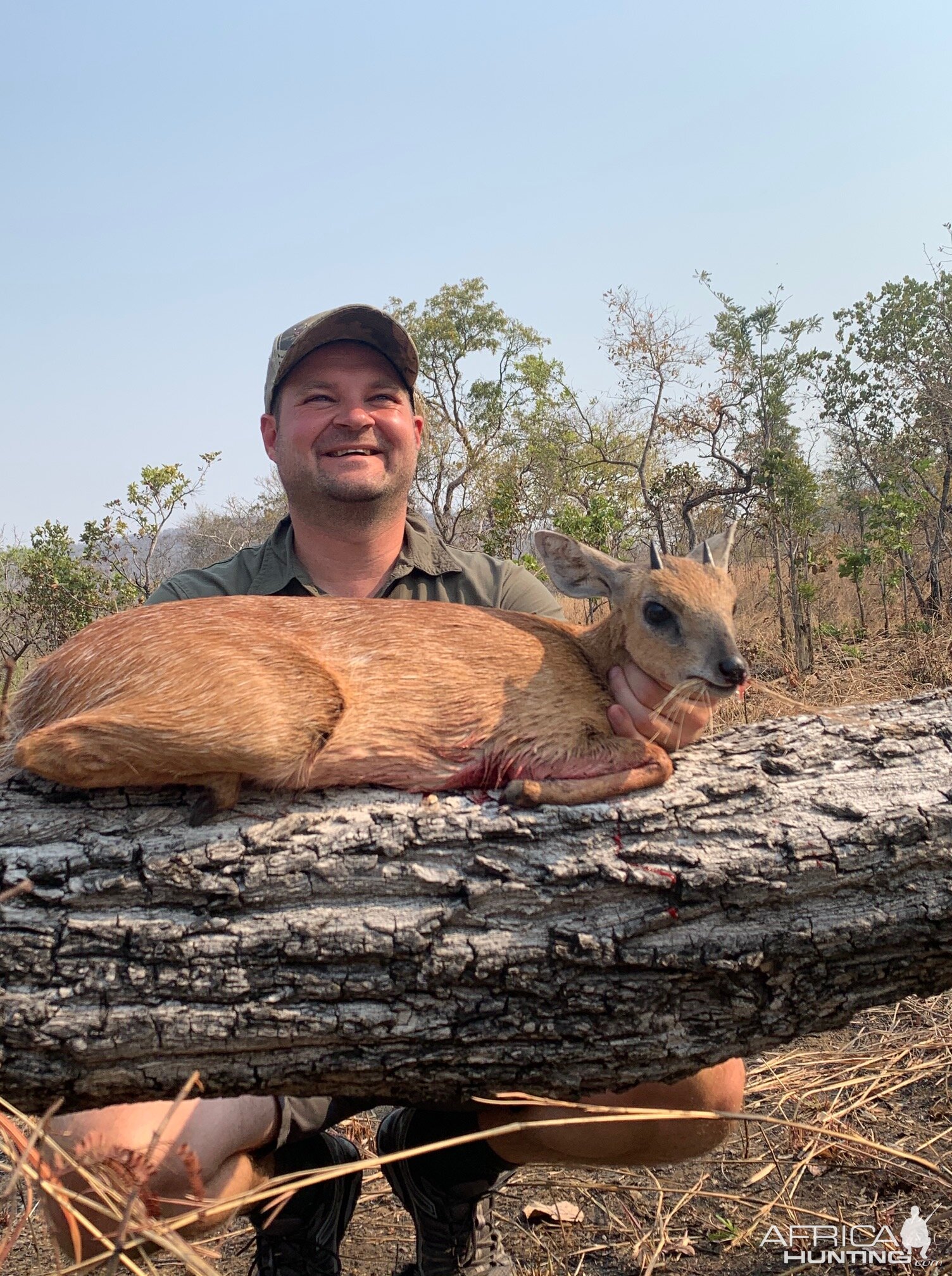 Zambia Hunt Sharpe's Grysbok