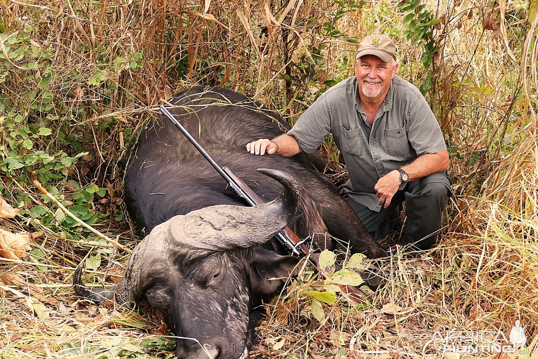 Zambia Hunting Cape Buffalo