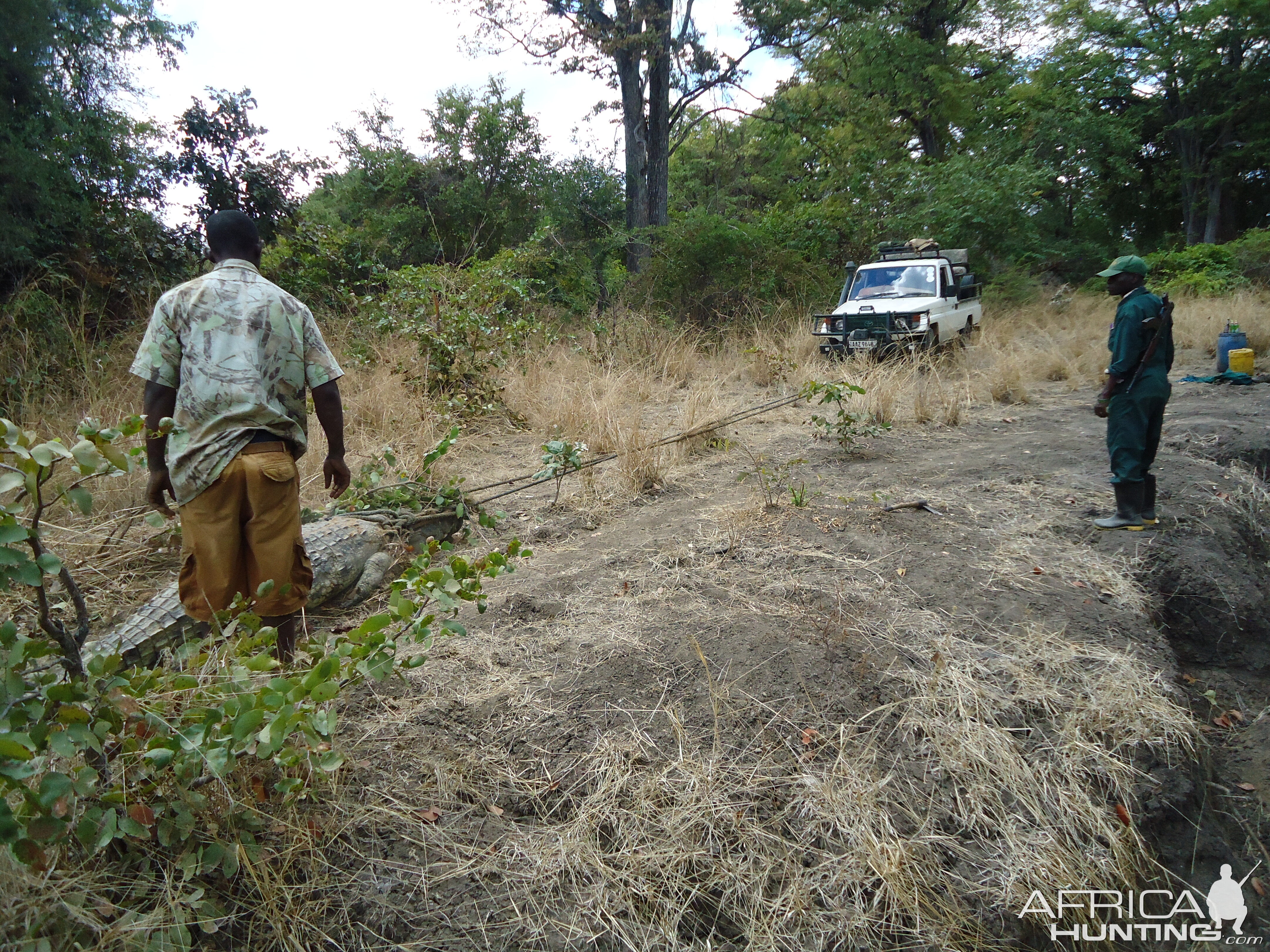 Zambia Hunting Crocodile