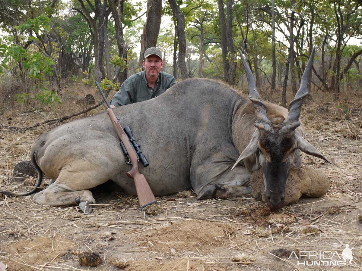 Zambia Hunting Eland