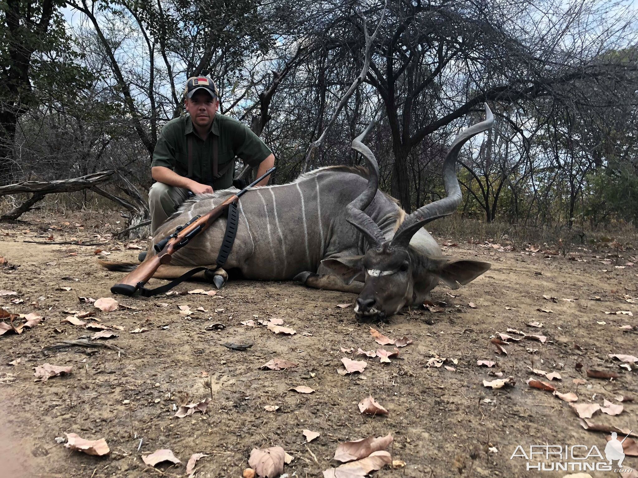 Zambia Hunting Kudu