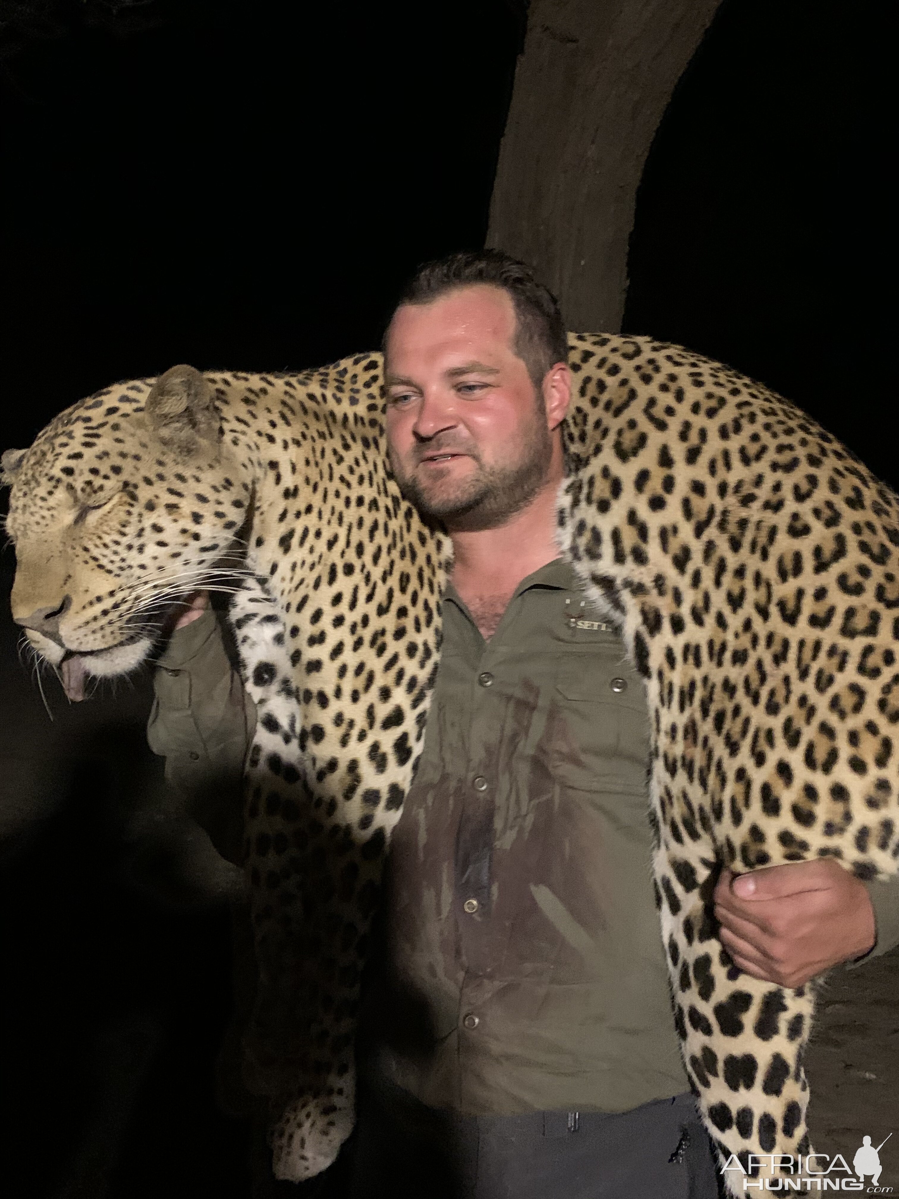 Zambia Hunting Leopard