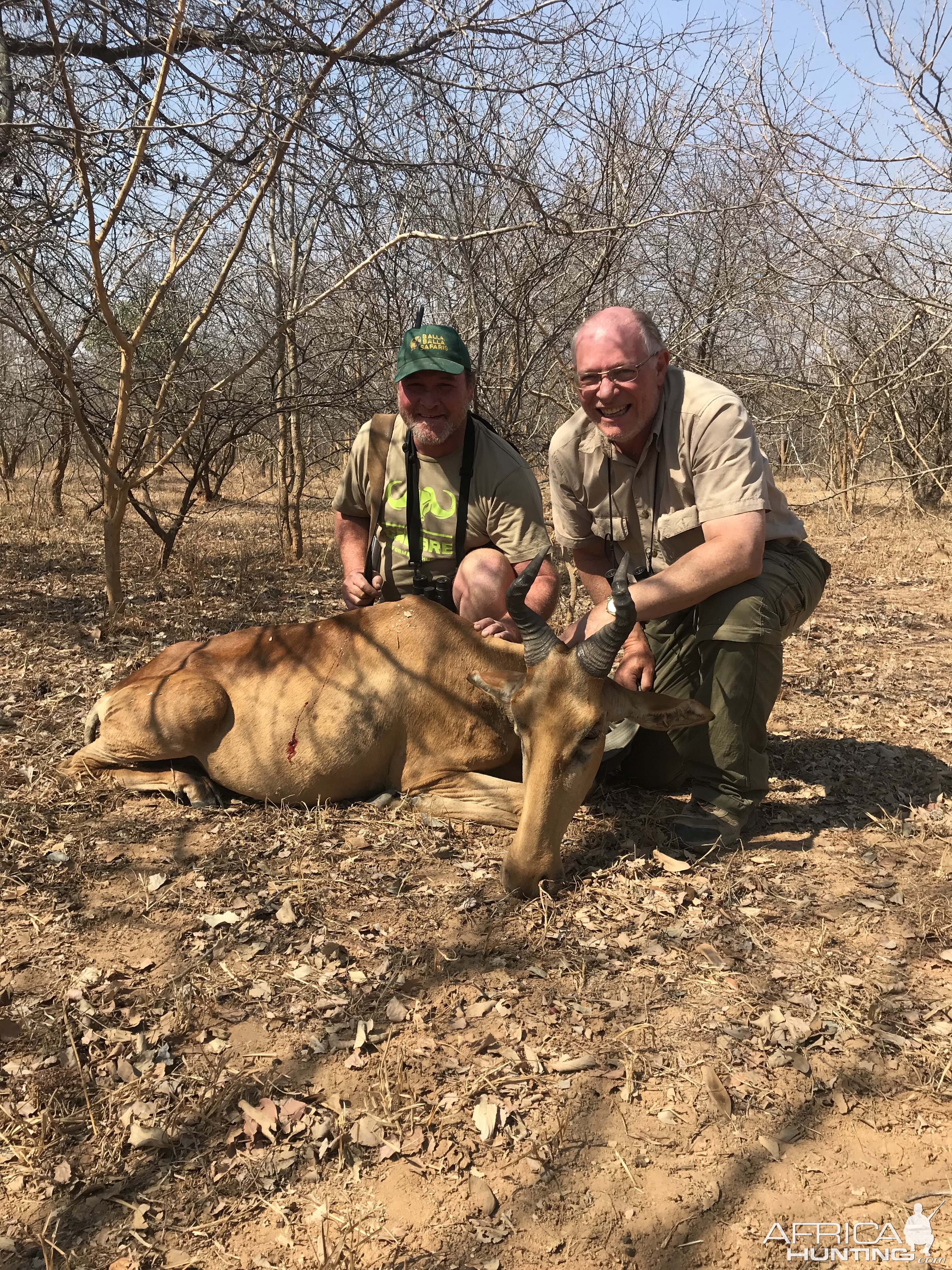 Zambia Hunting Lichtenstein's Hartebeest