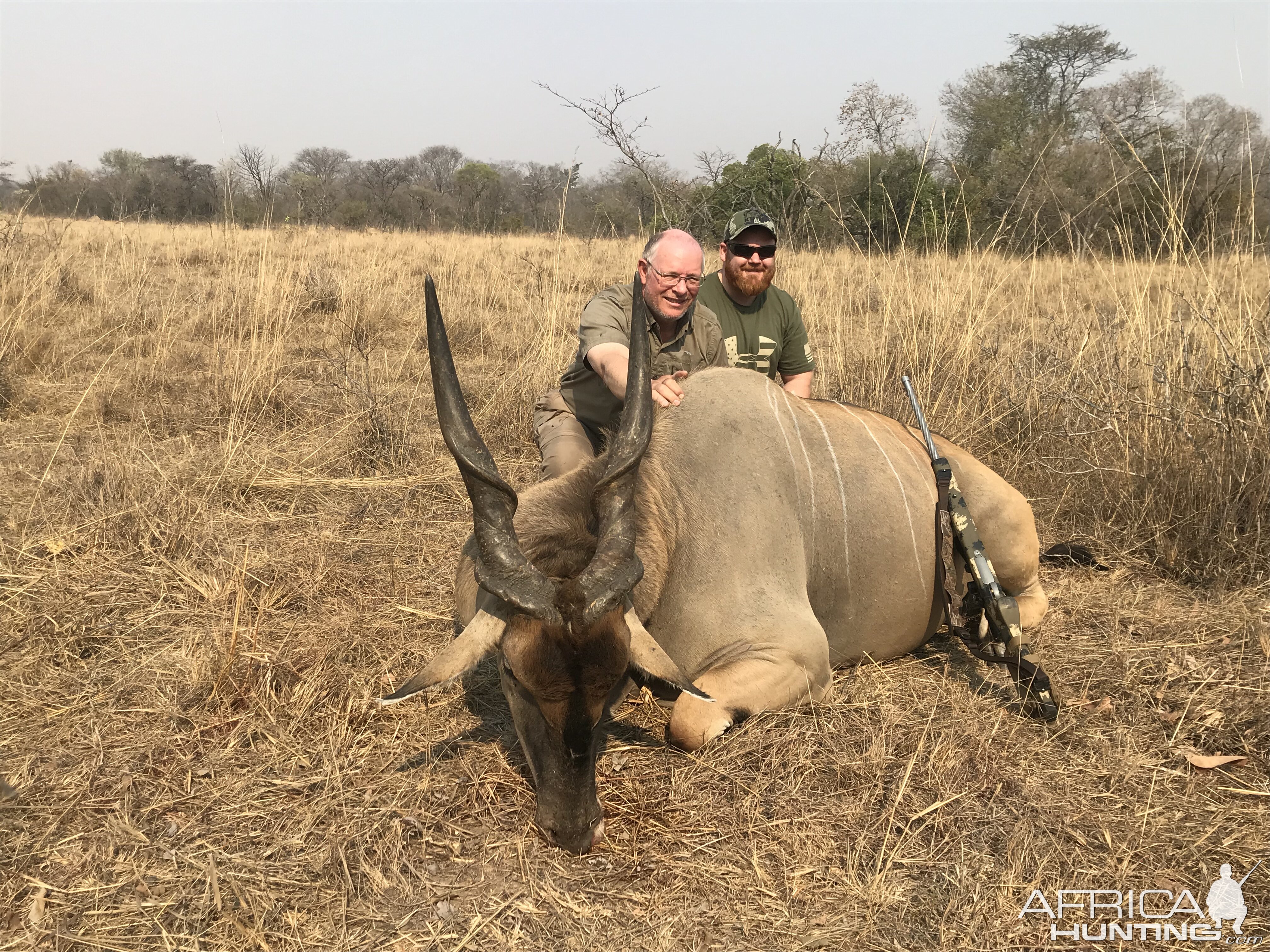 Zambia Hunting Livingstone Eland