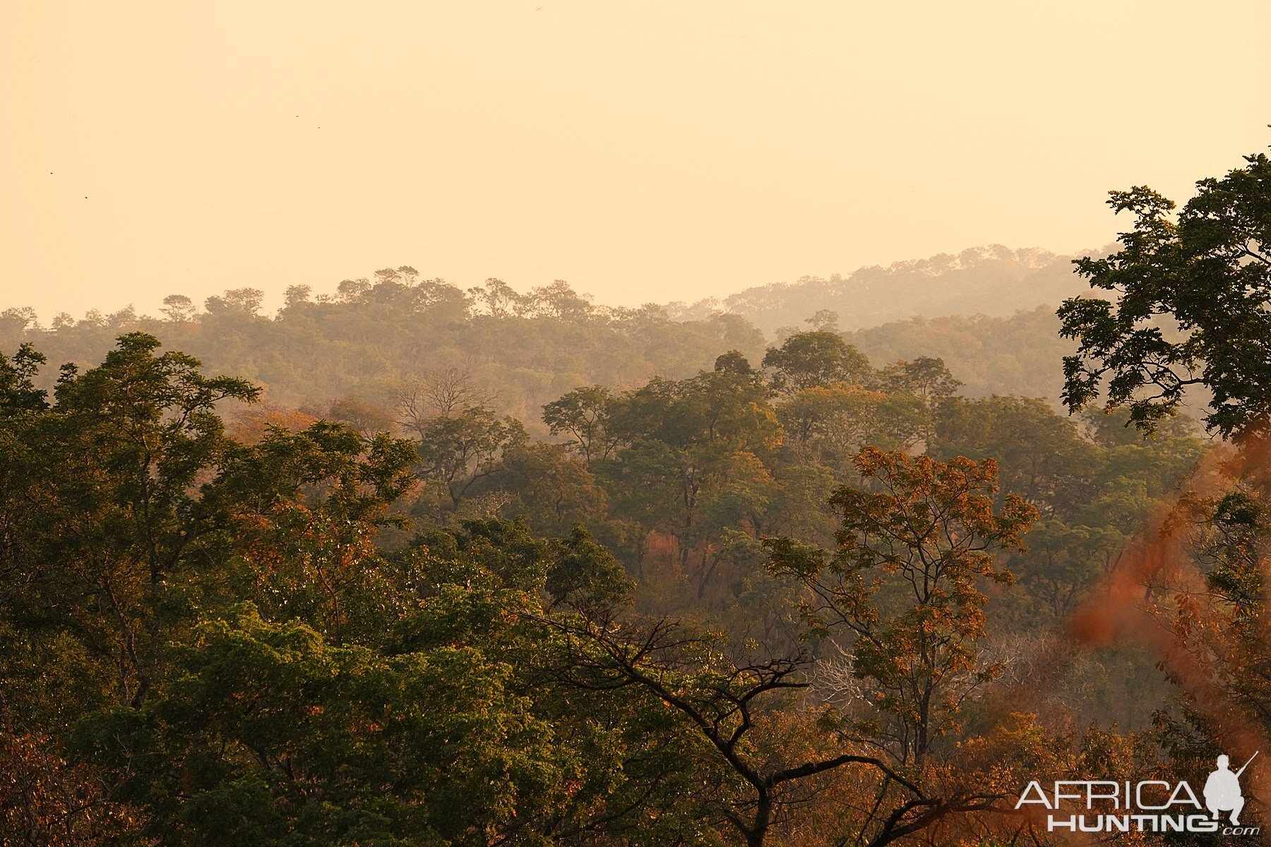 Zambia Lanscape