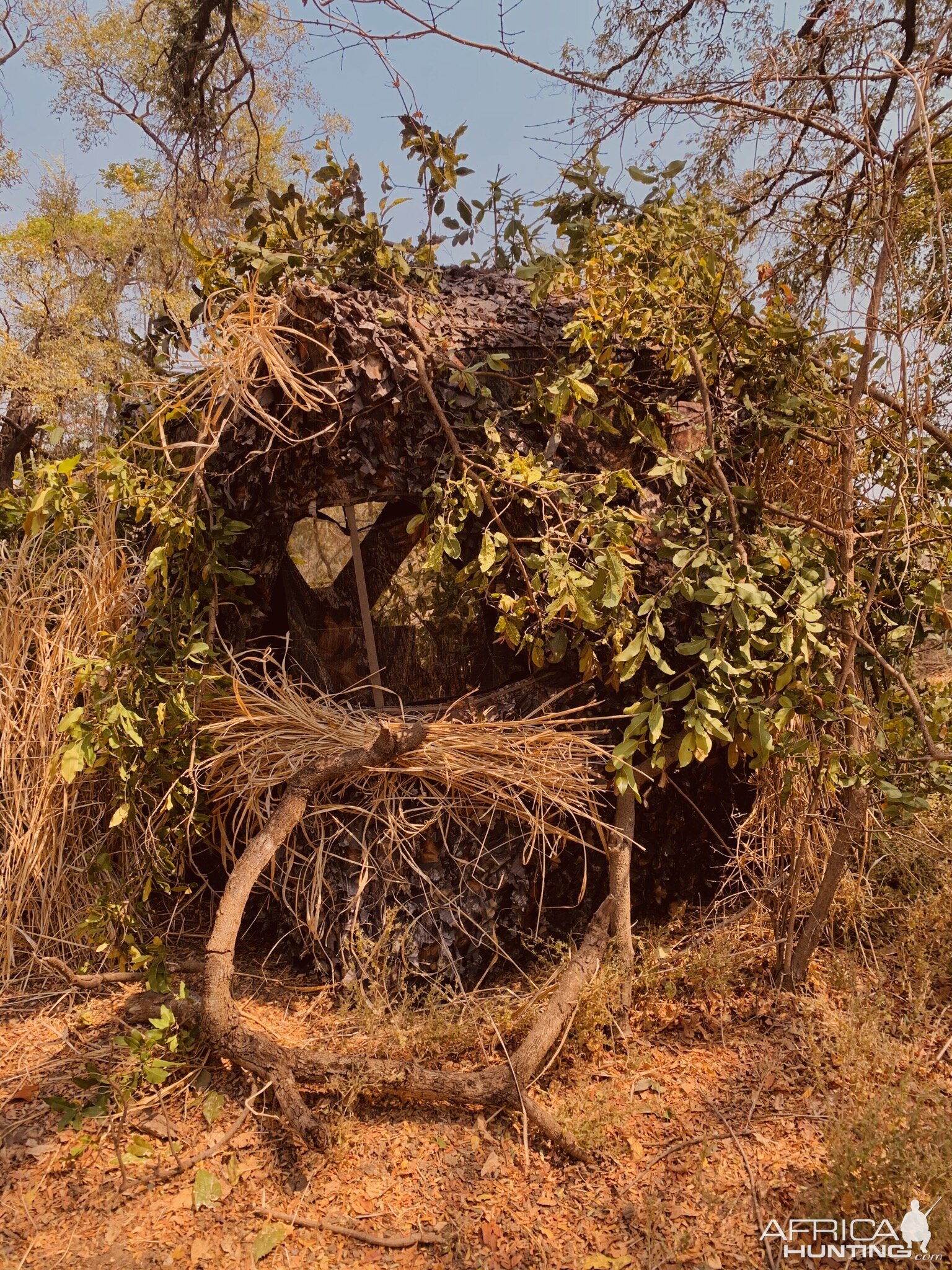 Zambia Leopard Hunting Hide