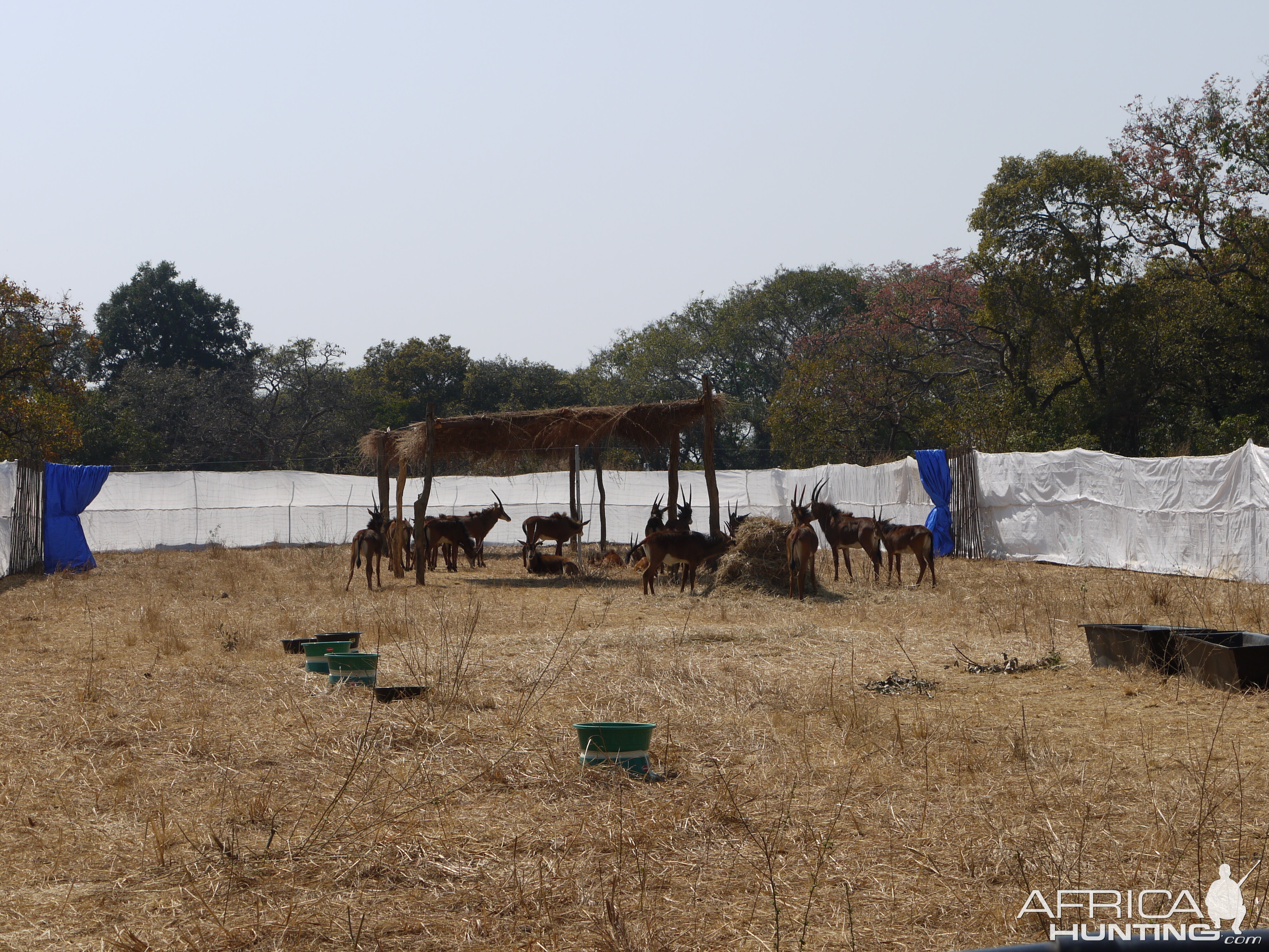 zambia, takeri august 2012