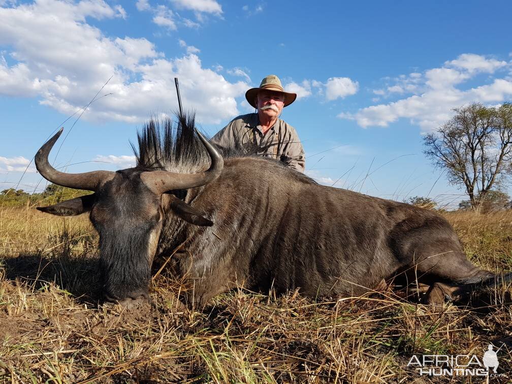 Zambia Wildebeest Hunting