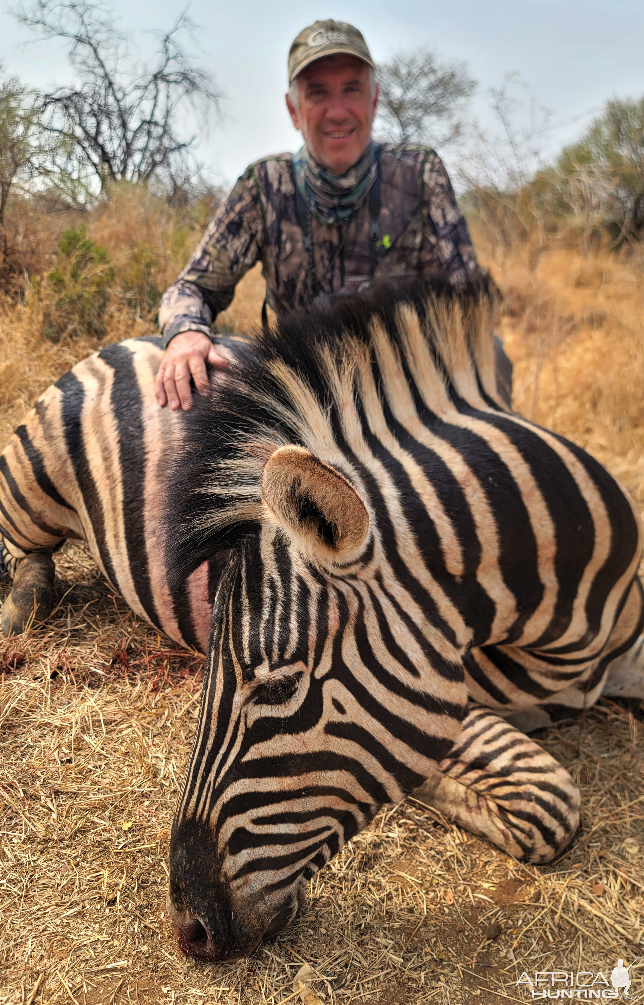 Zebra Bow Hunt South Africa