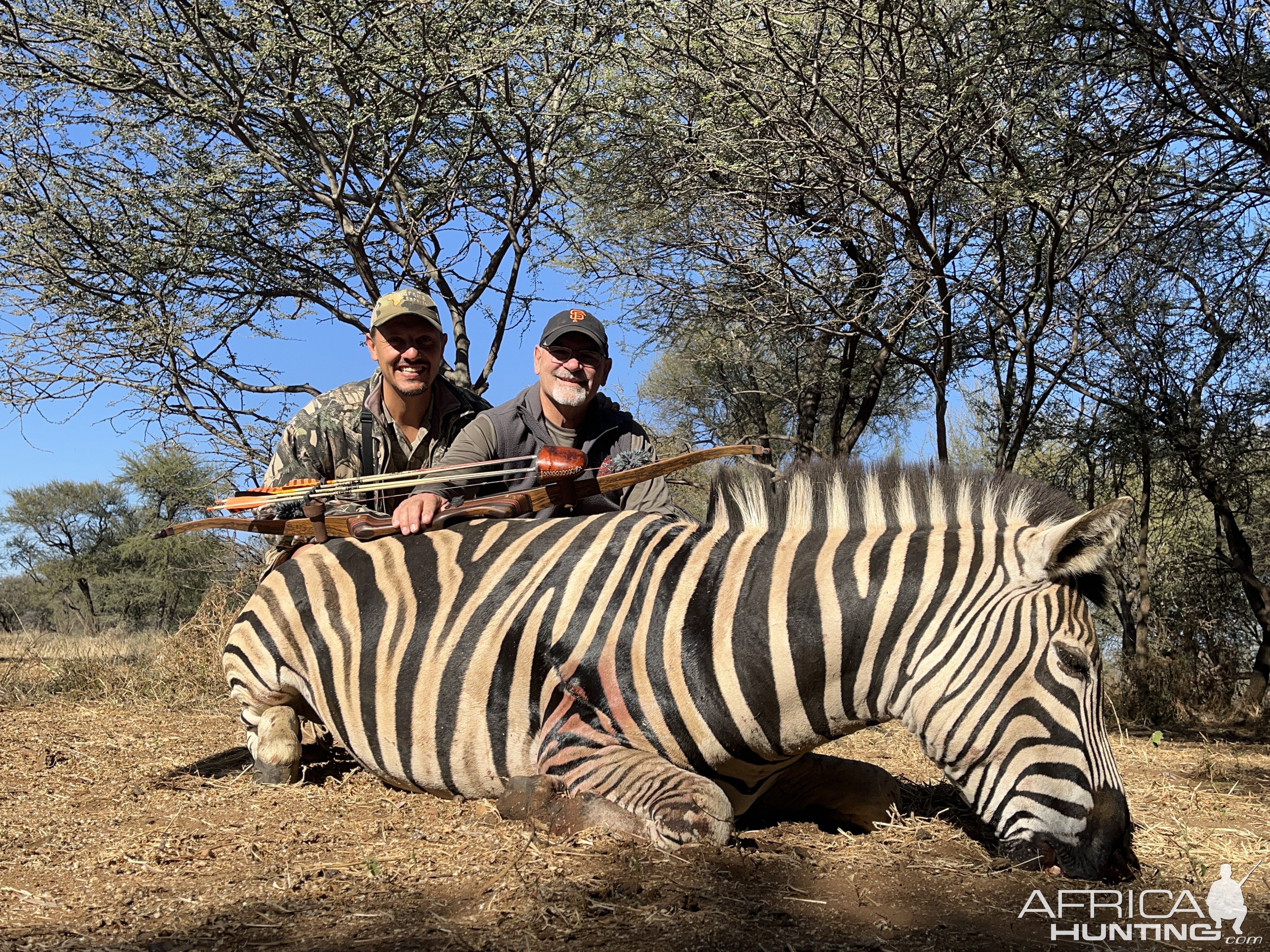 Zebra Bow Hunt South Africa