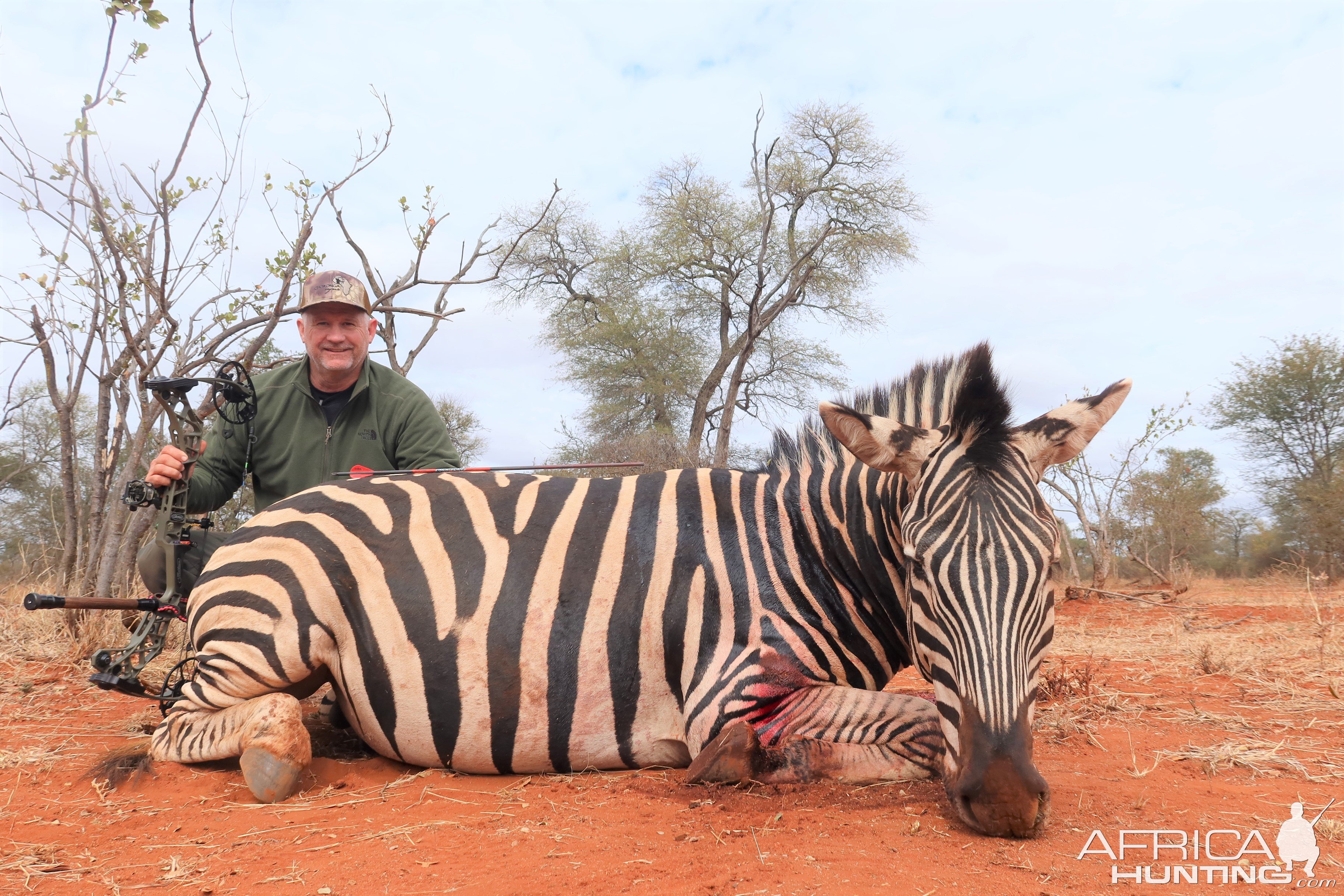 Zebra Bow Hunting Botswana