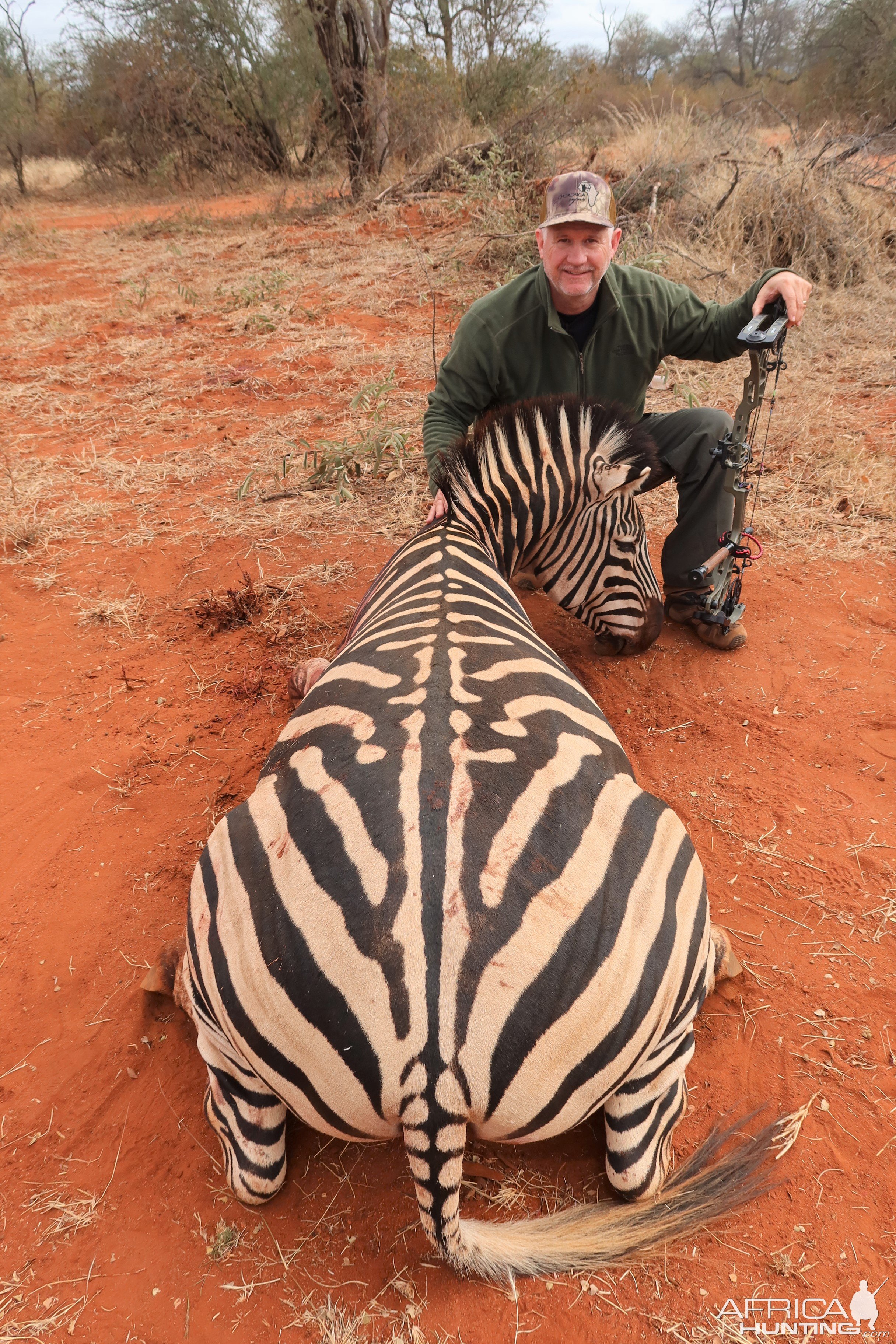 Zebra Bow Hunting Botswana