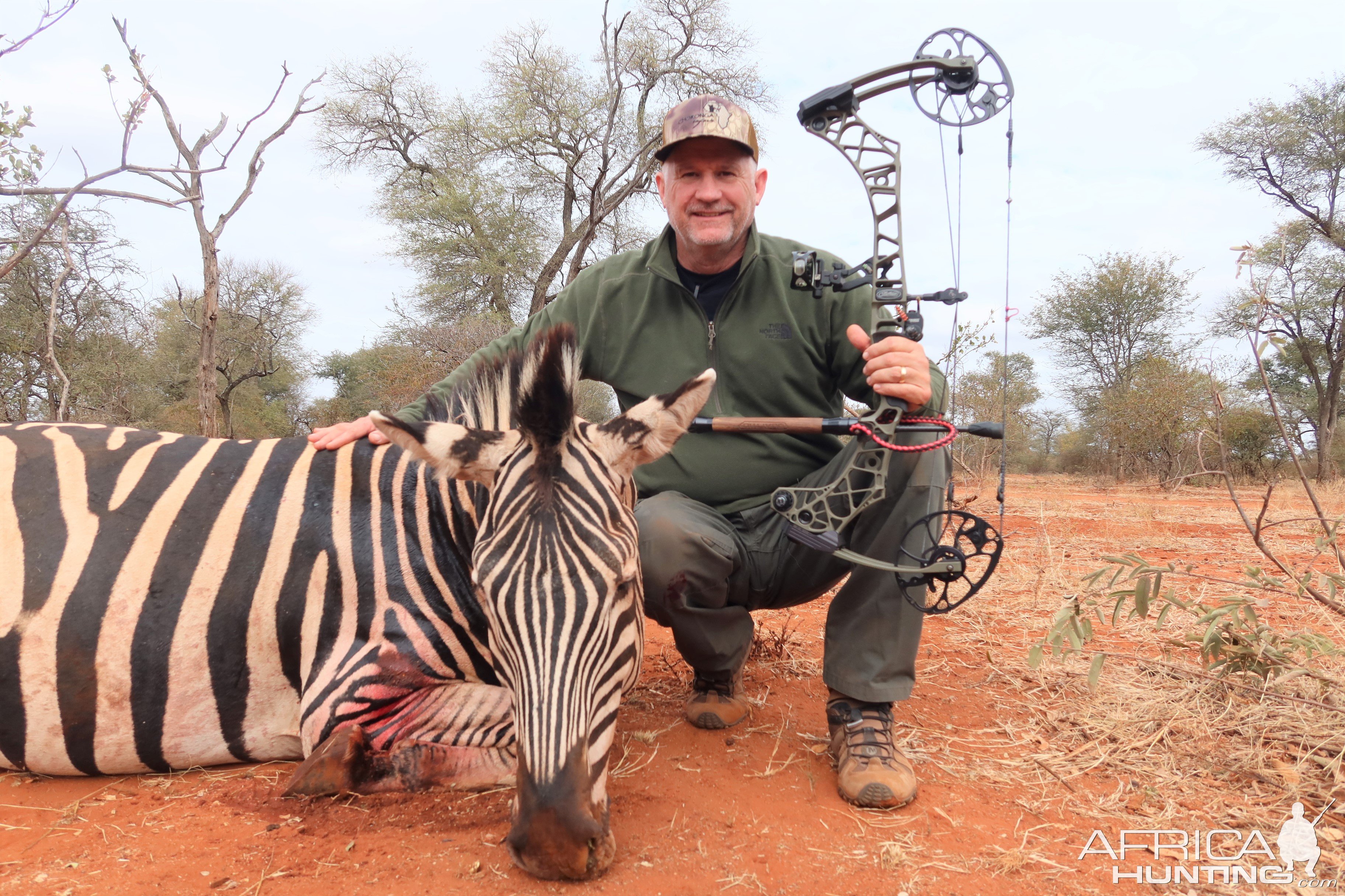 Zebra Bow Hunting Botswana