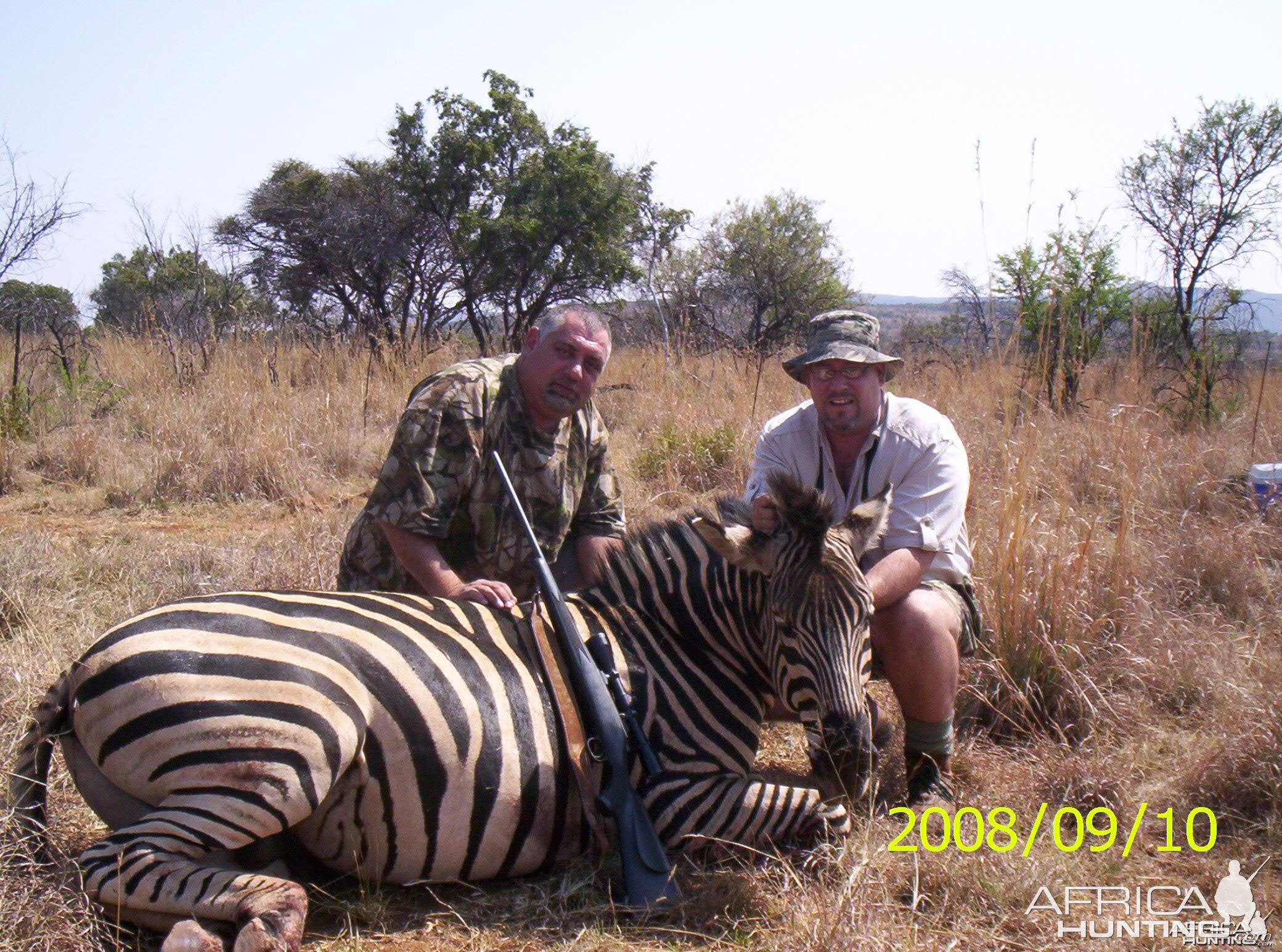 Zebra - Bushwack Safaris