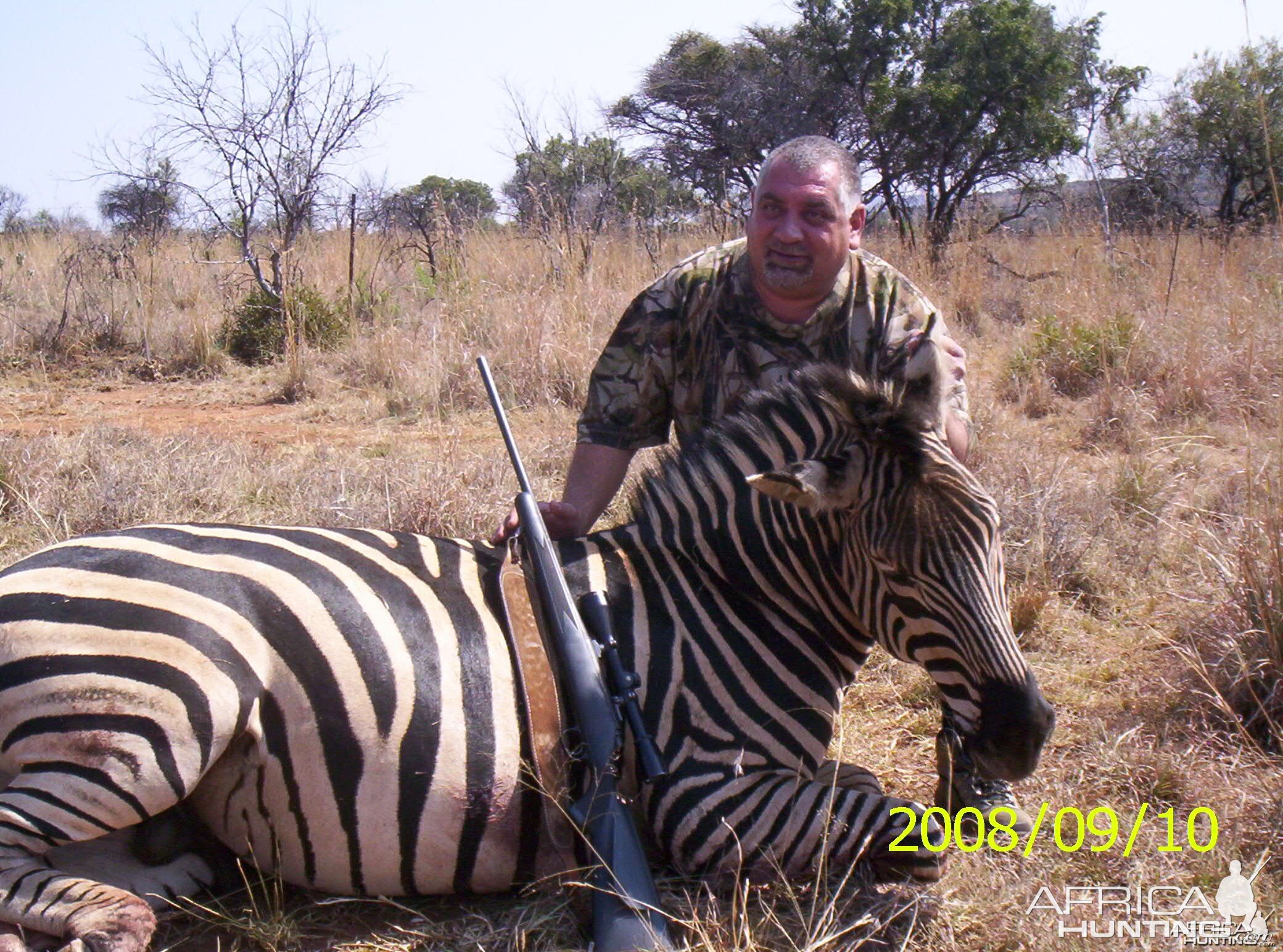 Zebra - Bushwack Safaris