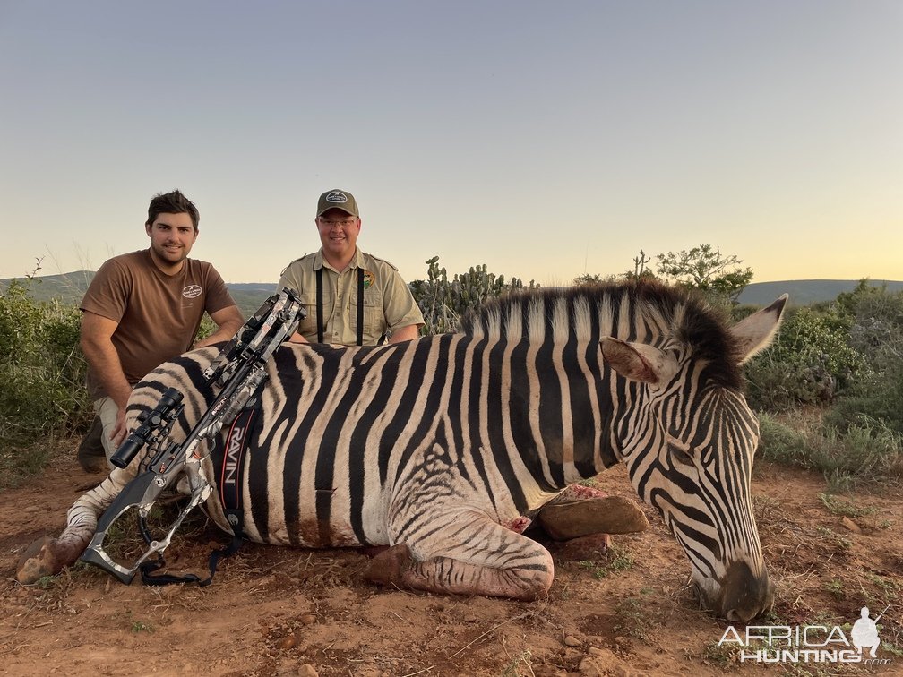 Zebra Crossbow Hunting South Africa