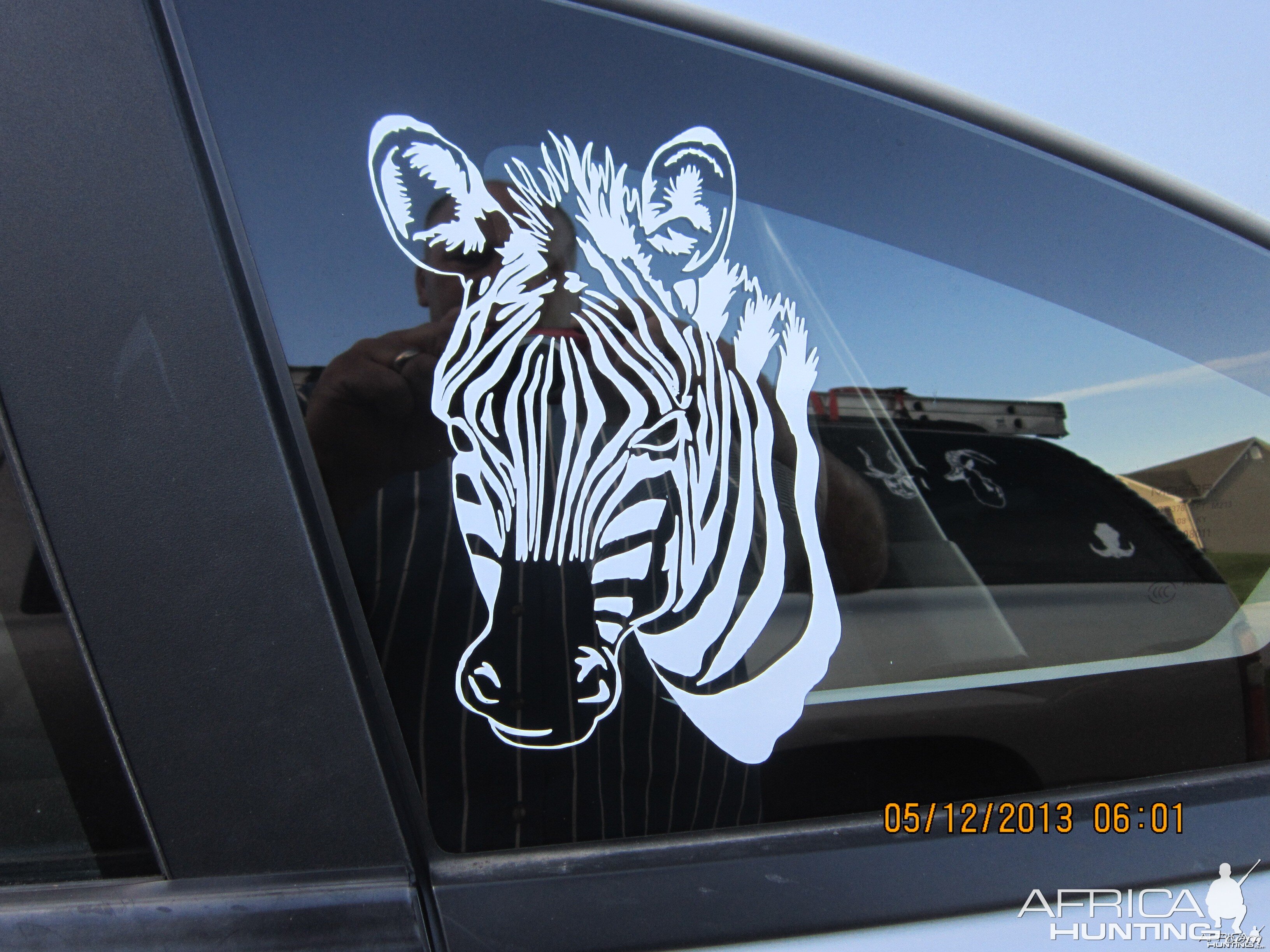 Zebra Decal Stickers