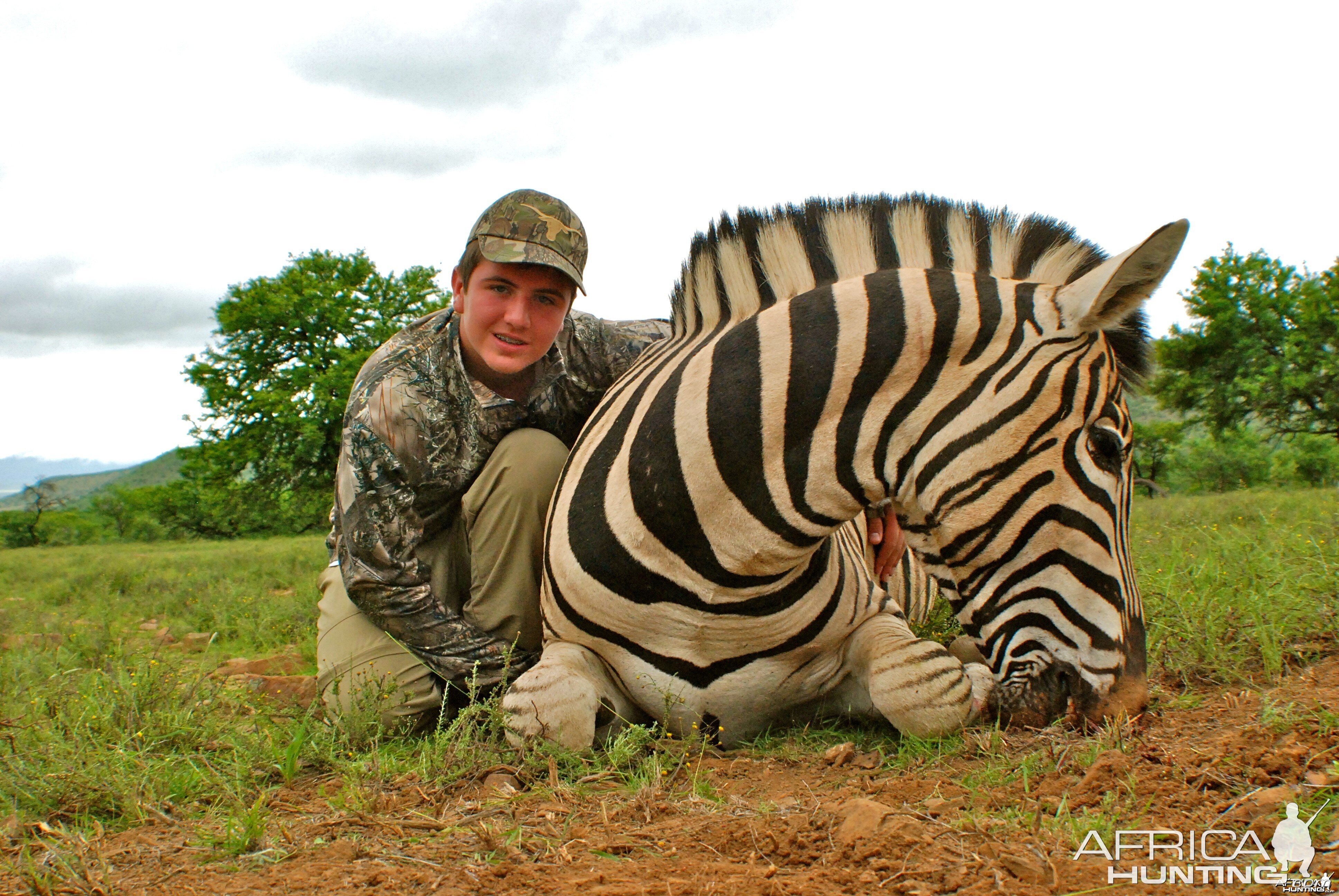 Zebra ~ East Cape, RSA