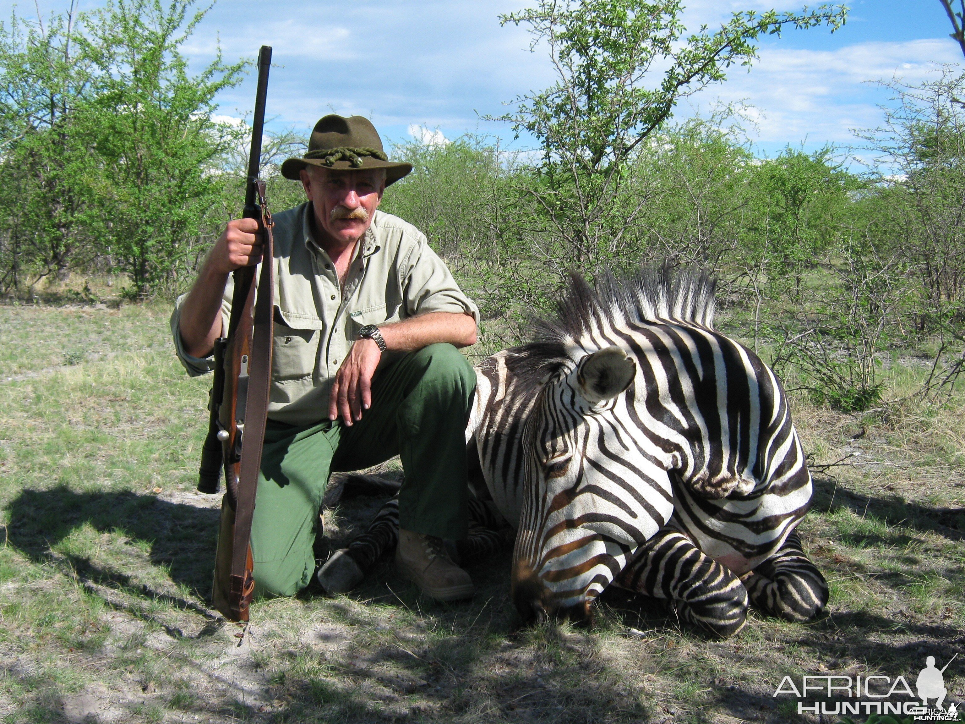 Zebra from Omalanga Safaris Namibia