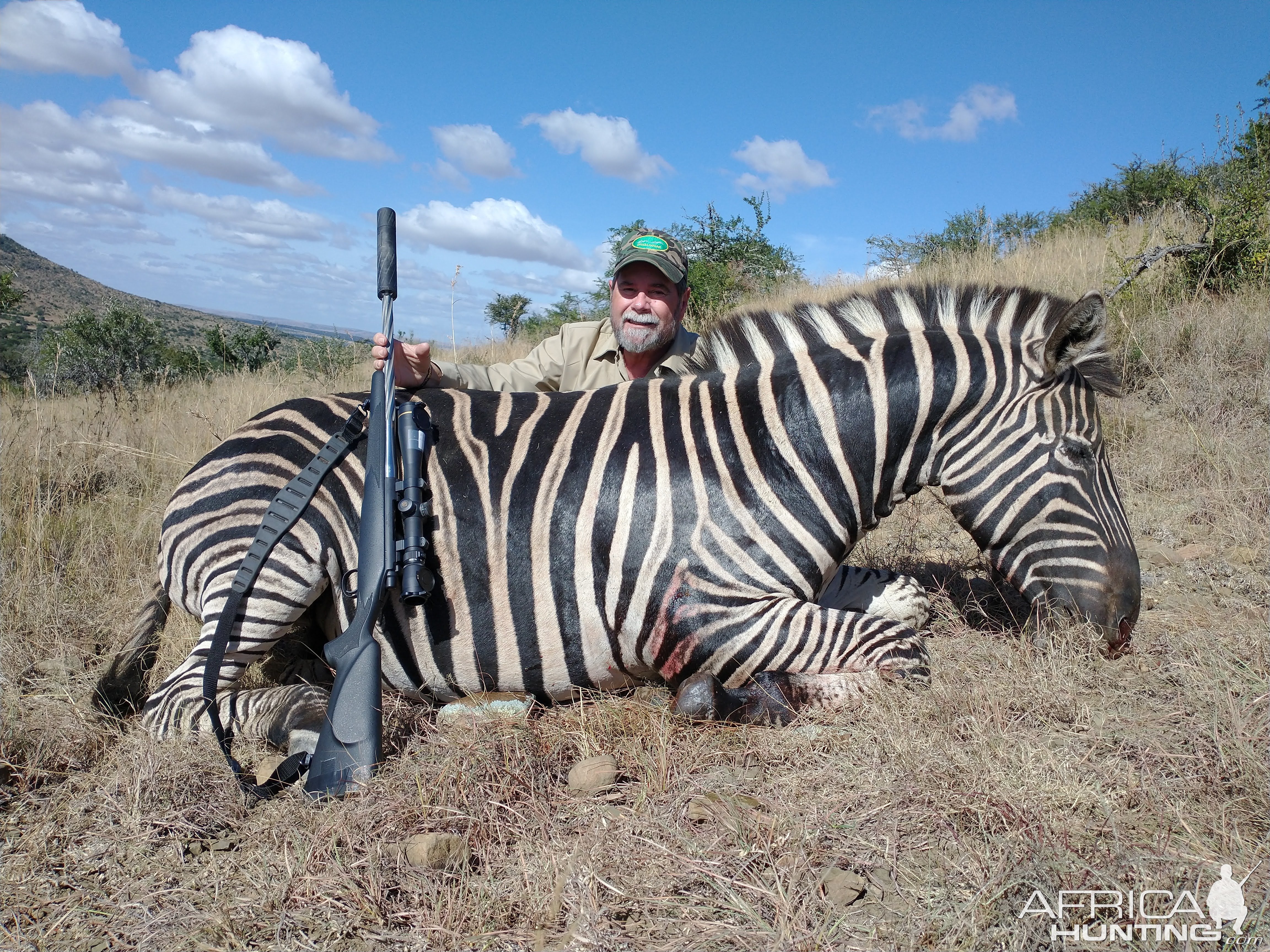 Zebra Hunt  Easten Cape South Africa