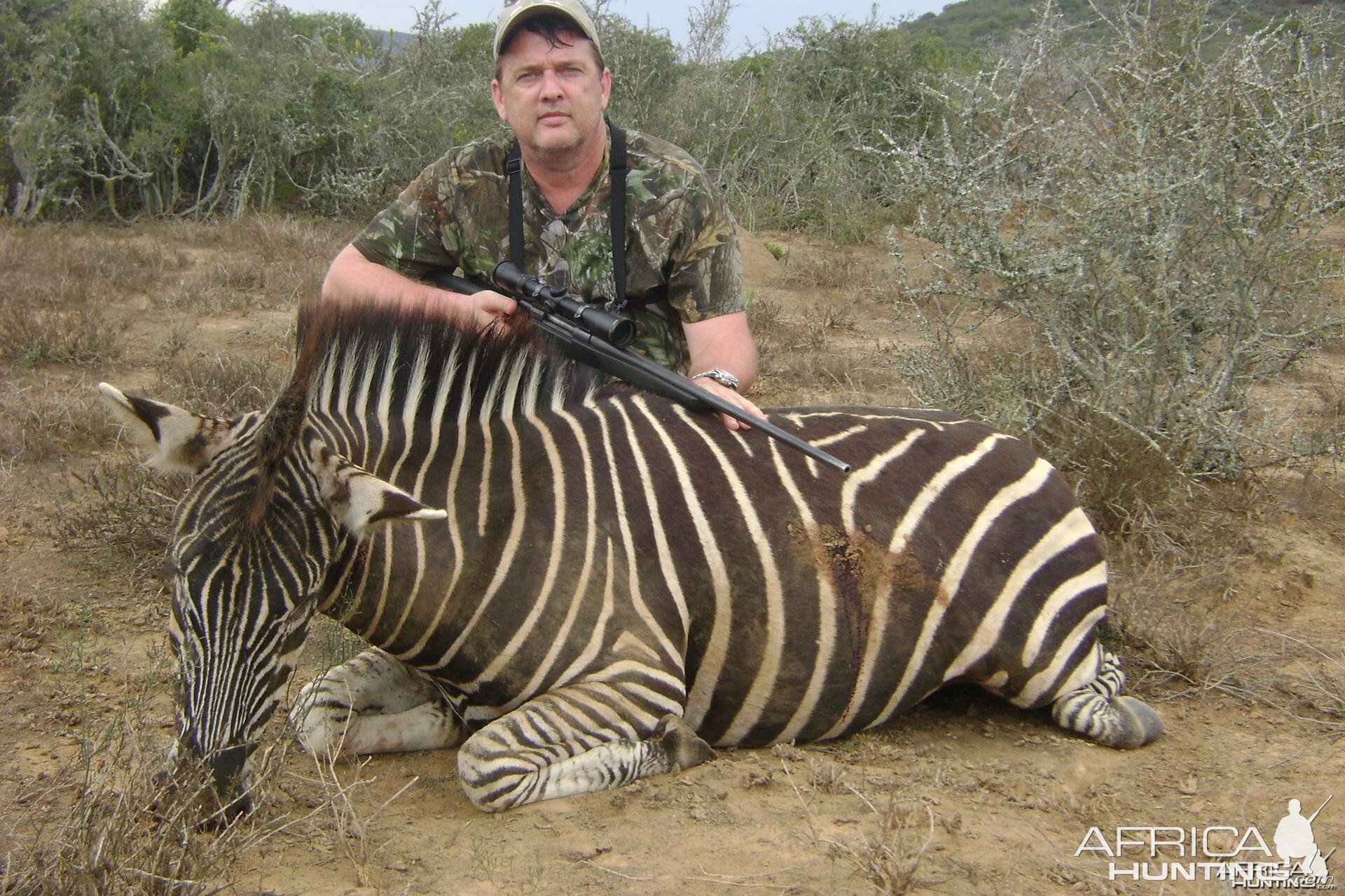 Zebra hunt Eastern Cape SA