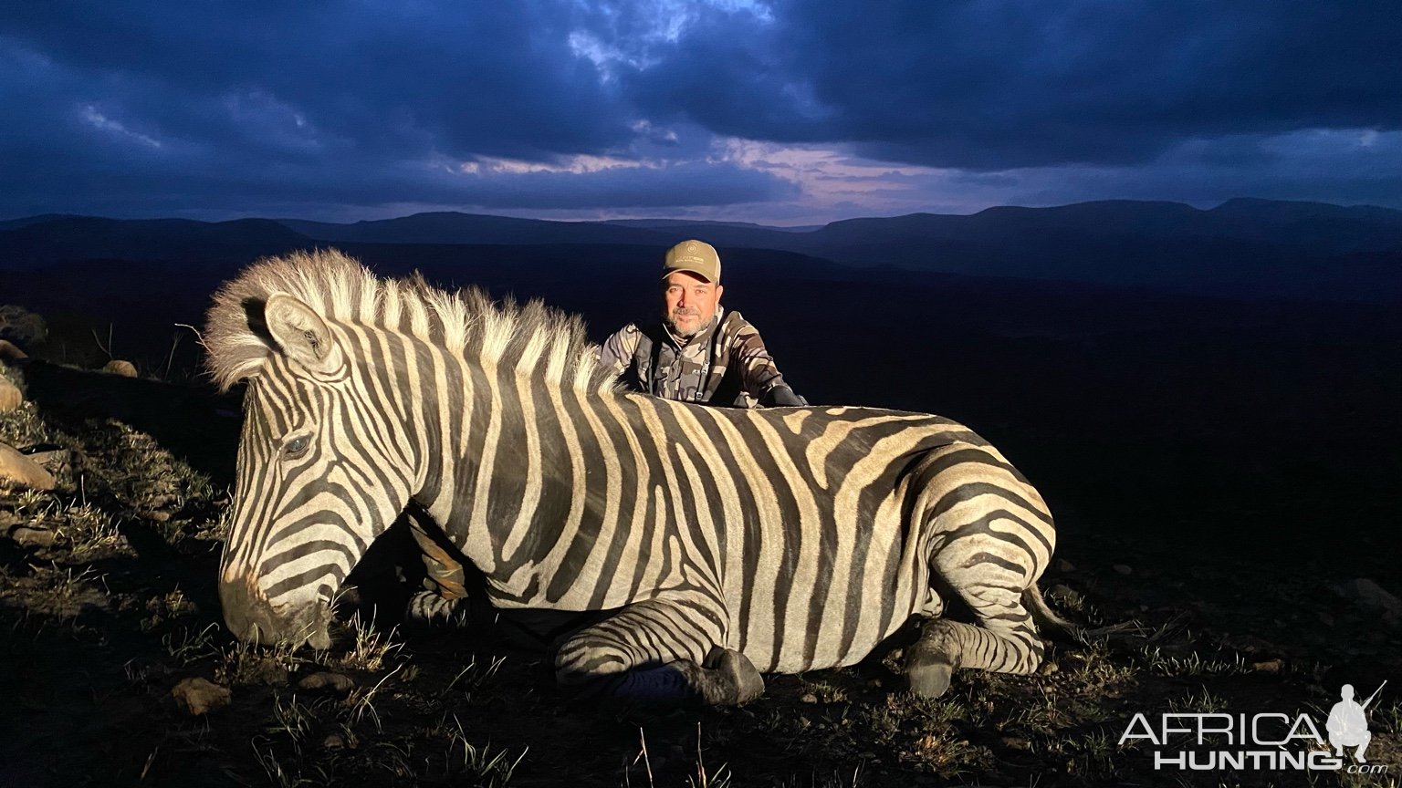 Zebra Hunt Eastern Cape South Africa