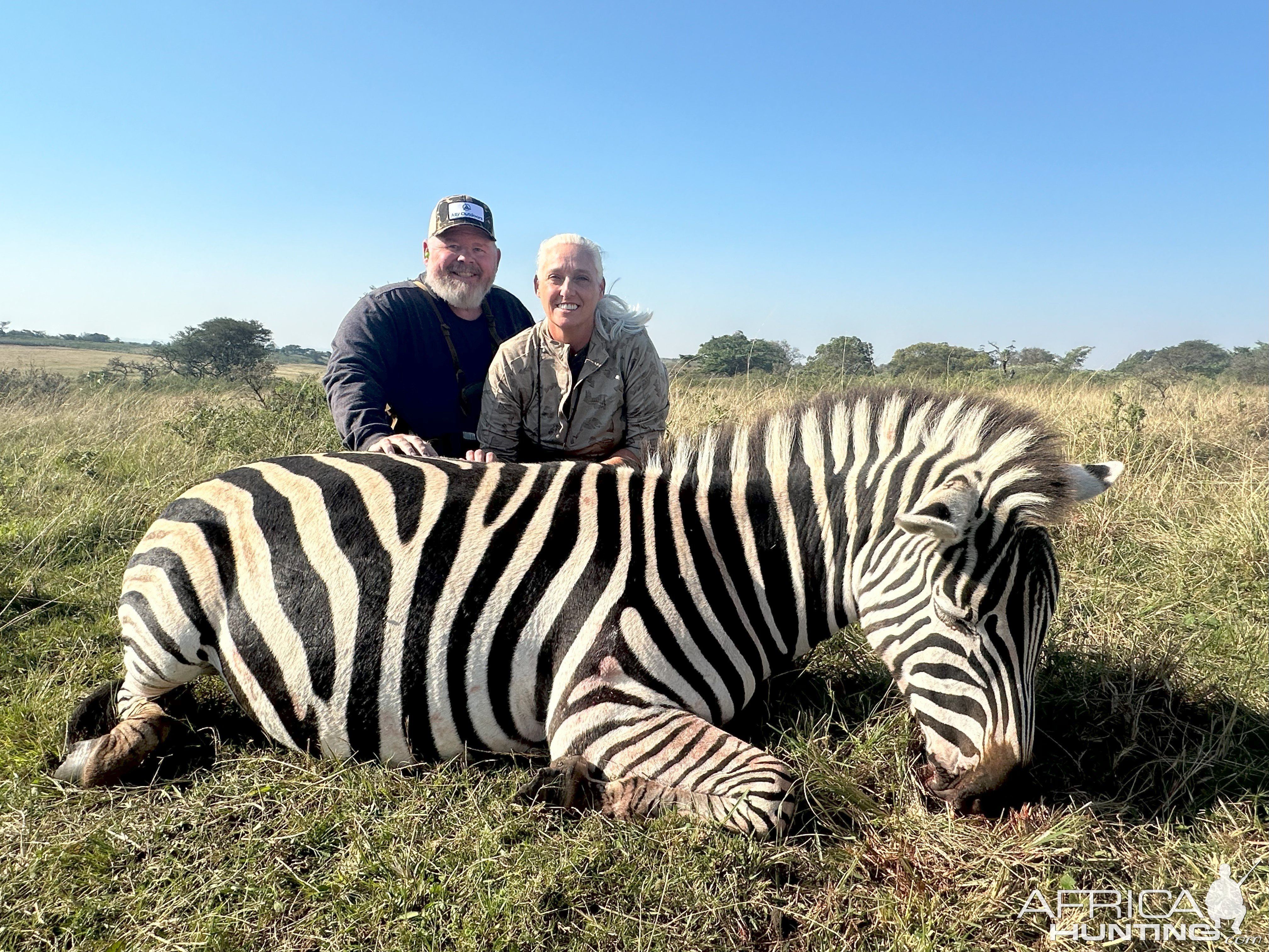 Zebra Hunt Eastern Cape South Africa