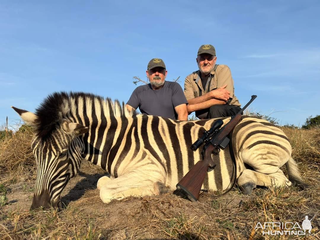 Zebra Hunt Eastern Cape South Africa