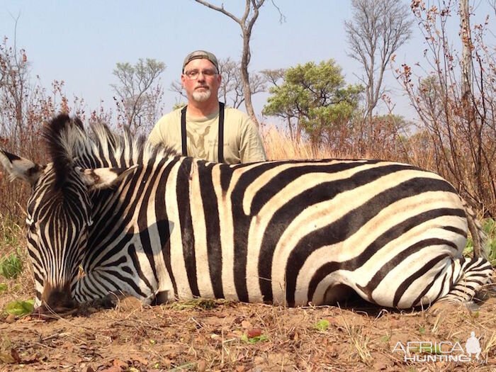 Zebra Hunt in Zimbabwe