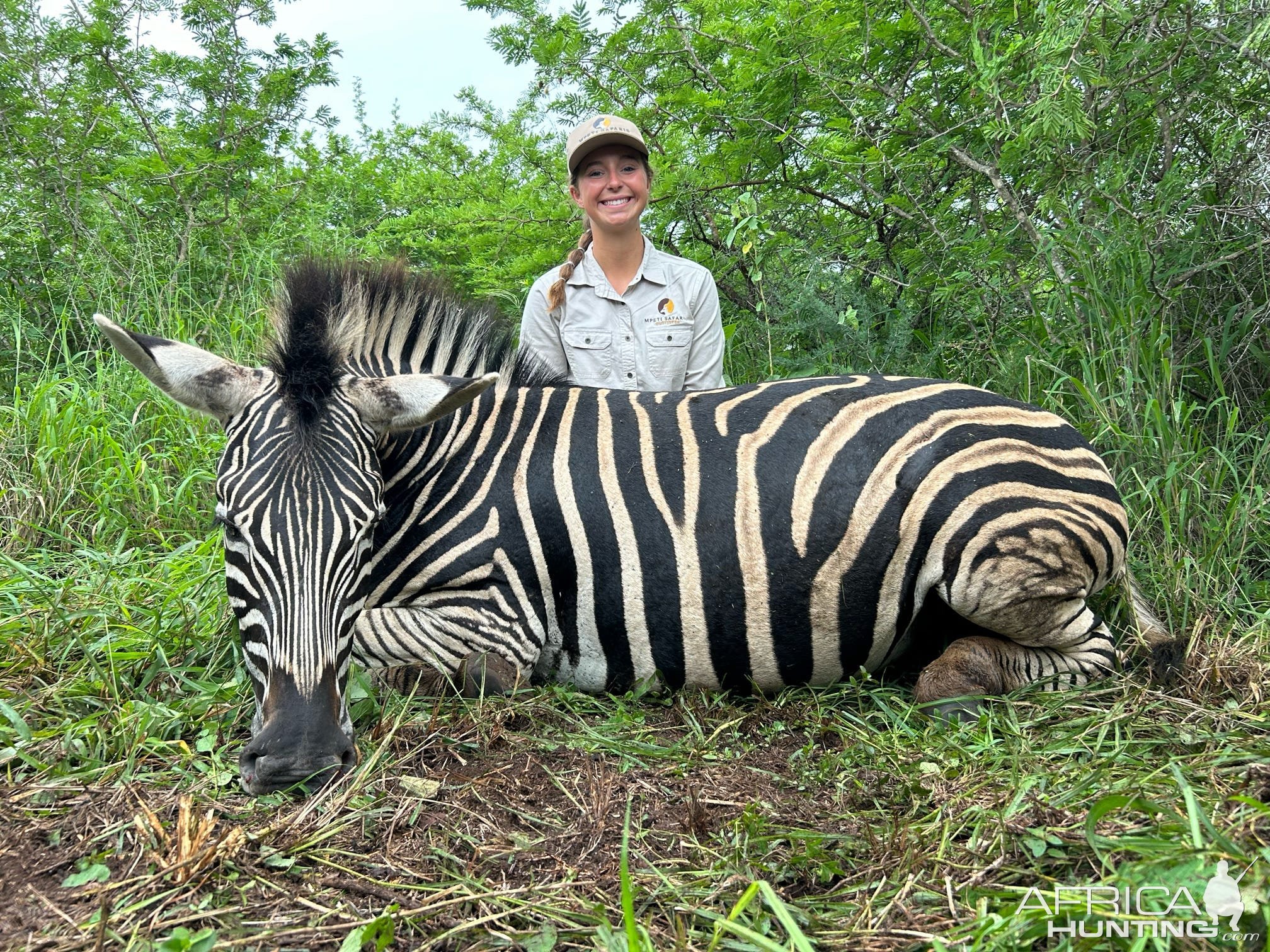 Zebra Hunt KwaZulu-Natal South Africa