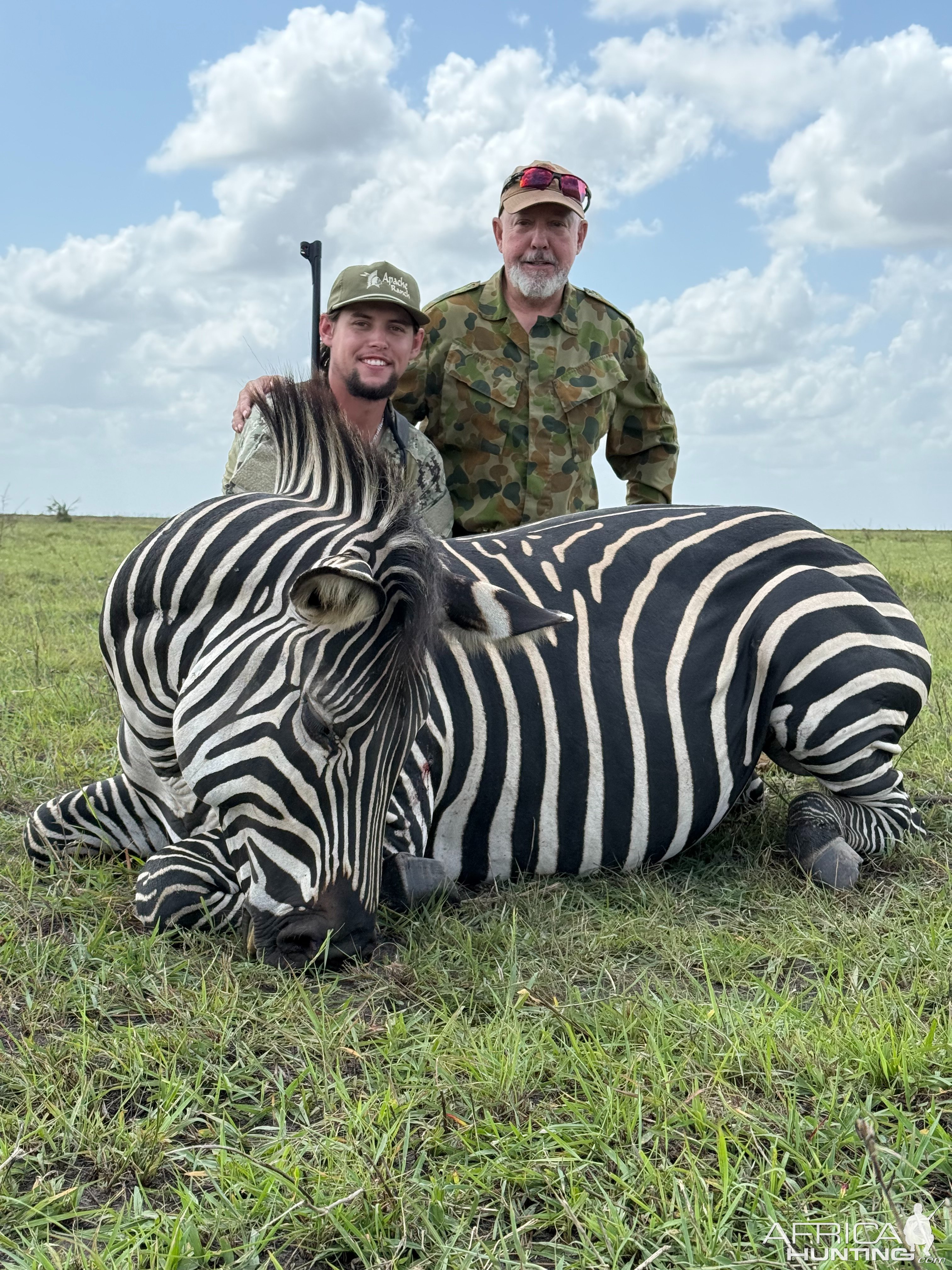 Zebra Hunt Mozambique