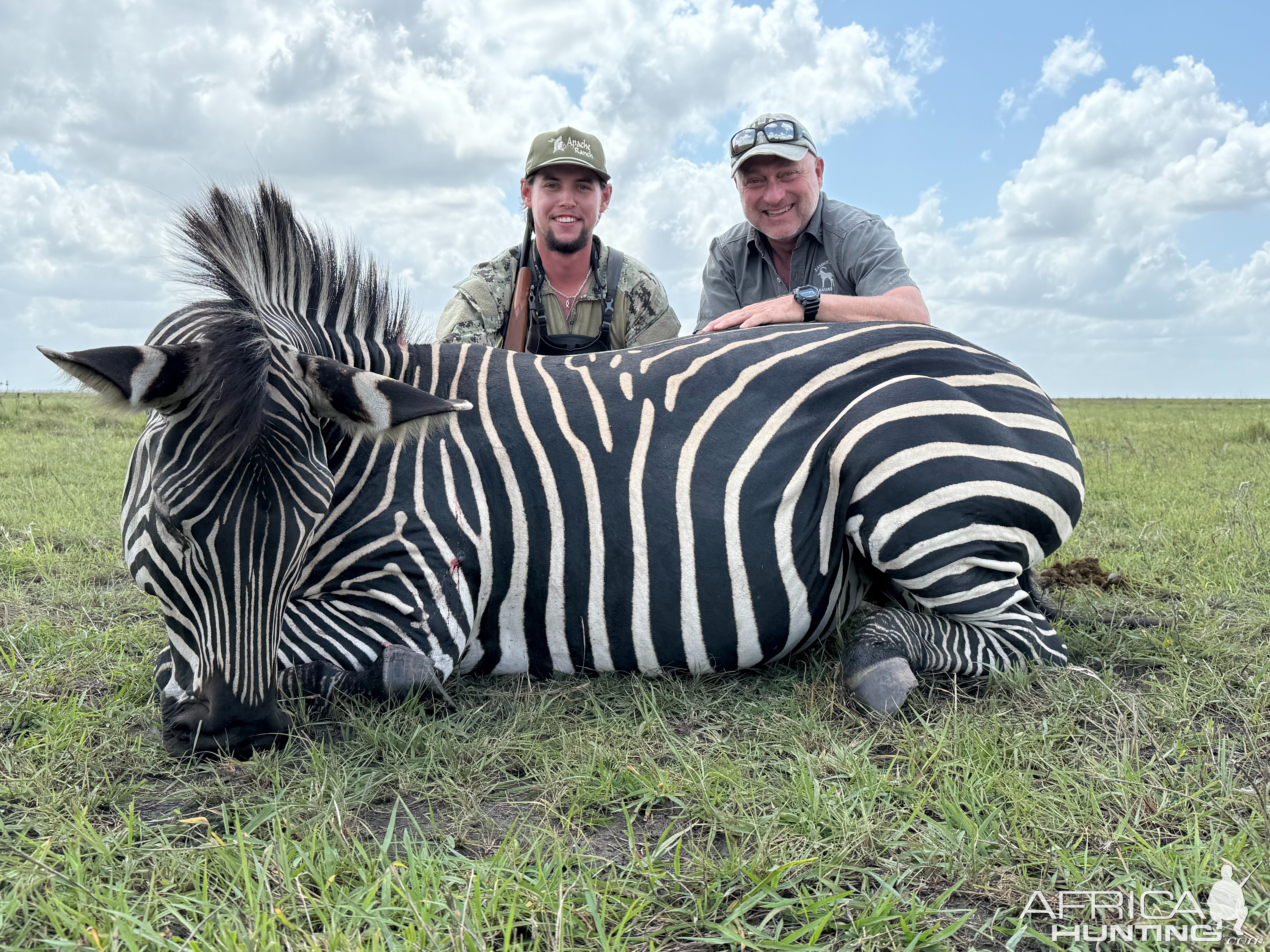 Zebra Hunt Mozambique