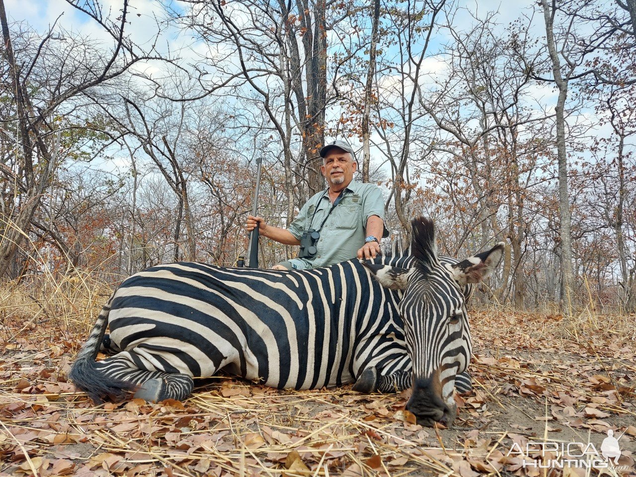 Zebra Hunt Namibia