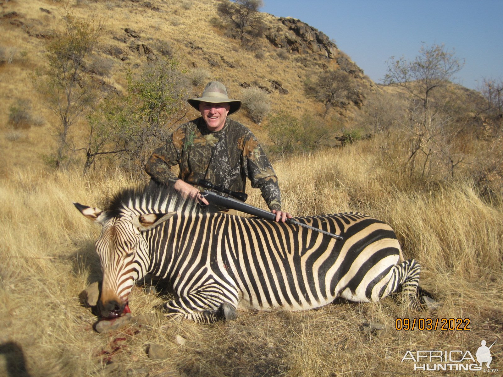 Zebra Hunt Namibia