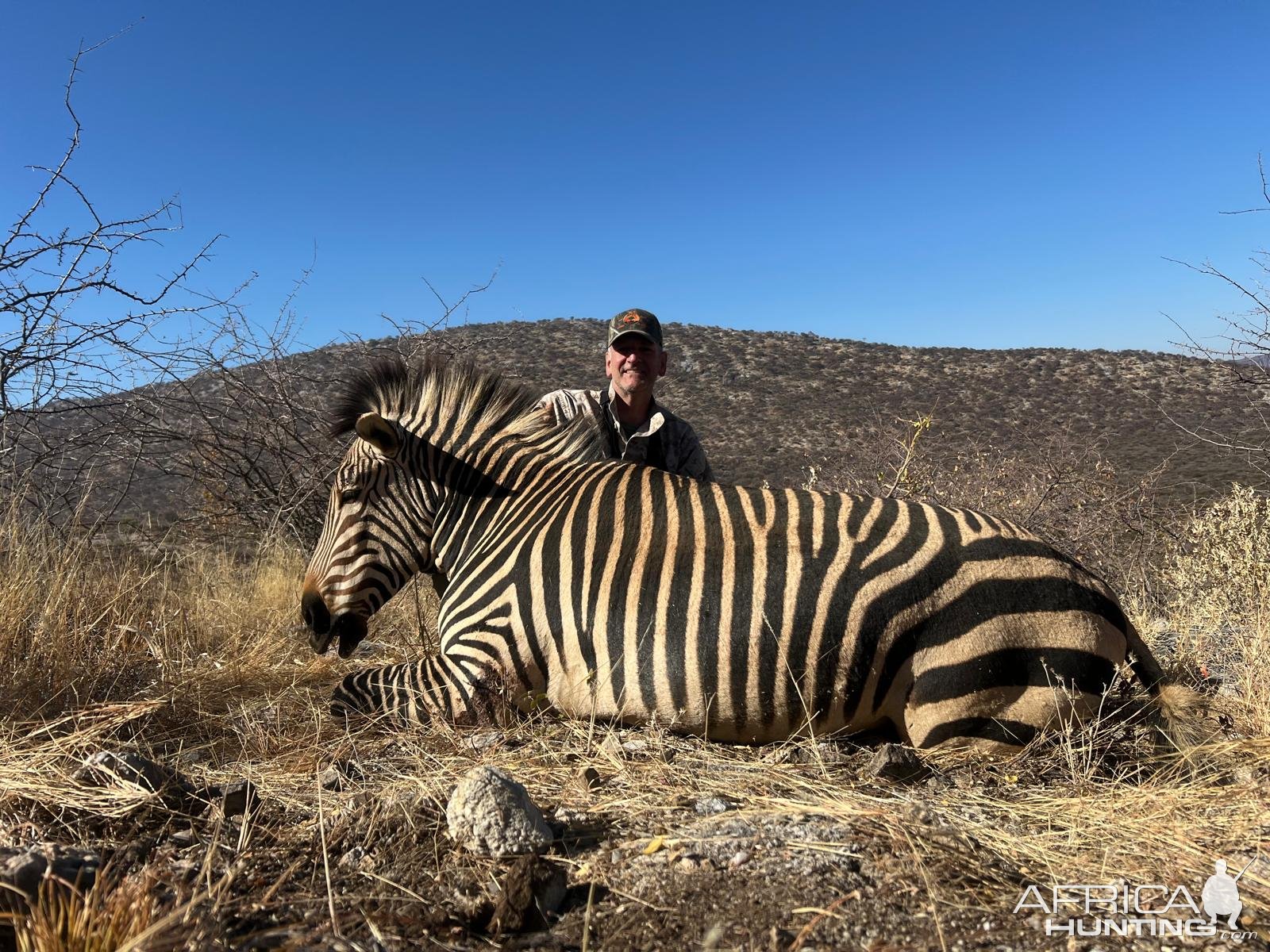 Zebra Hunt Namibia